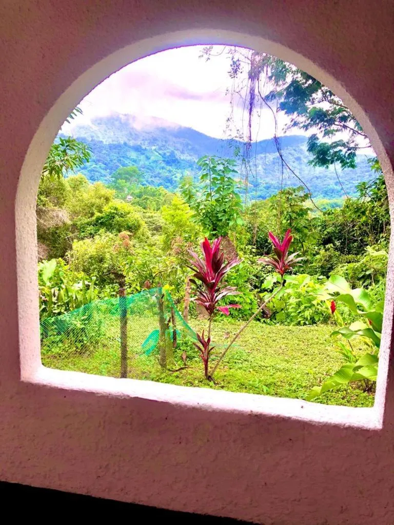Patio in Hotel Minca - La Casona