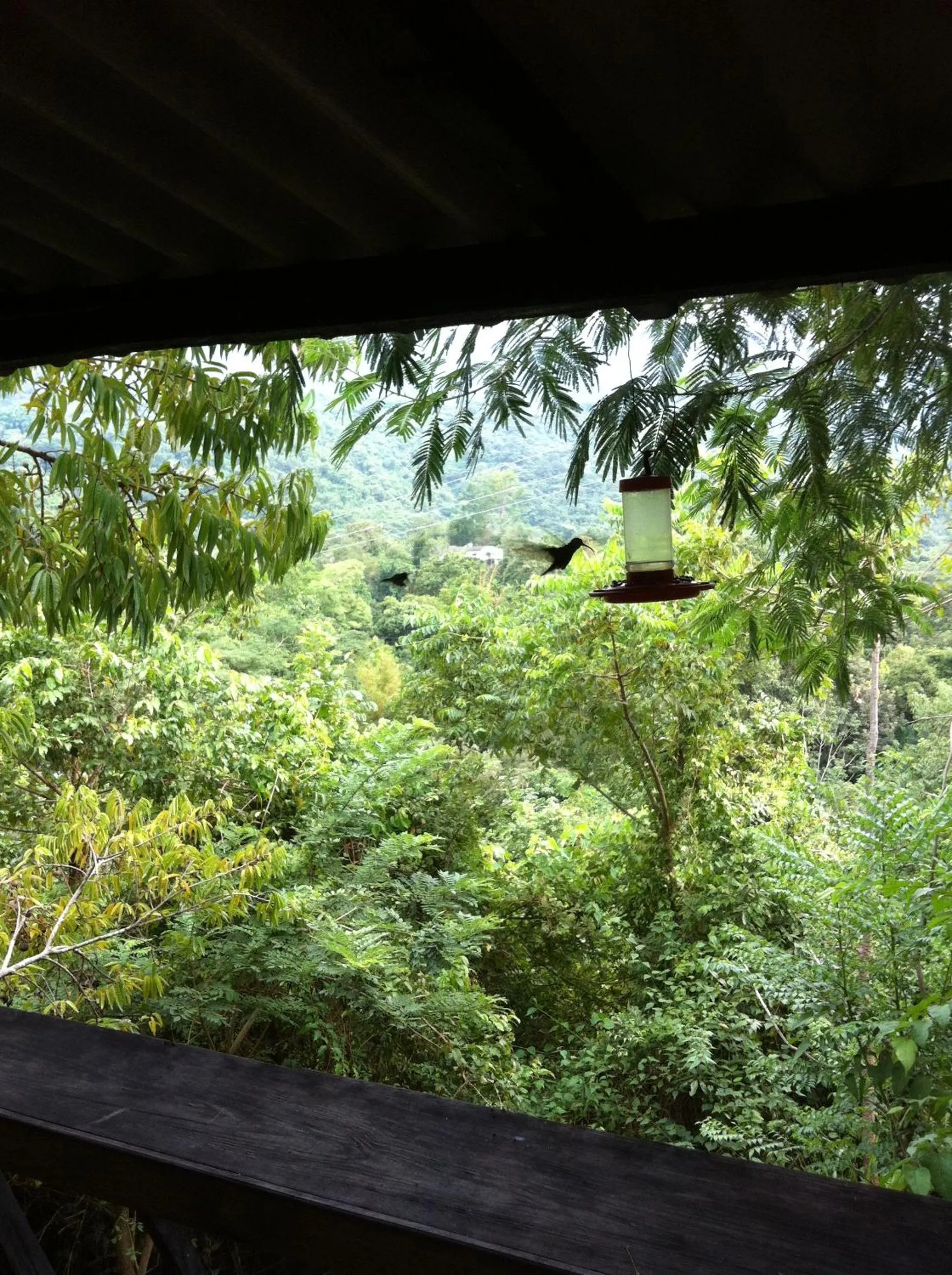 Restaurant/places to eat in Hotel Minca - La Casona