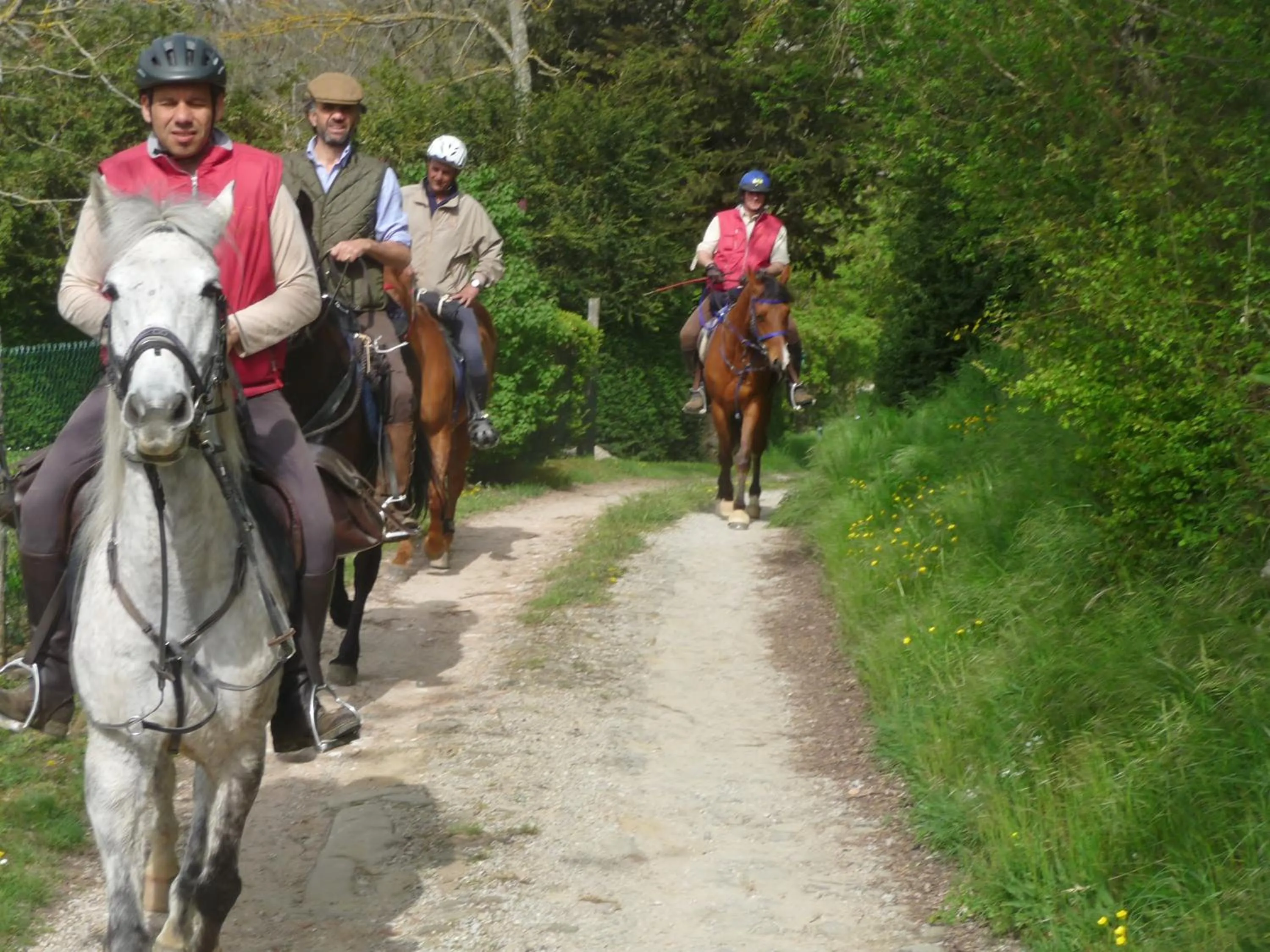 Horse-riding in La Cantina Relais - Fattoria Il Cipresso