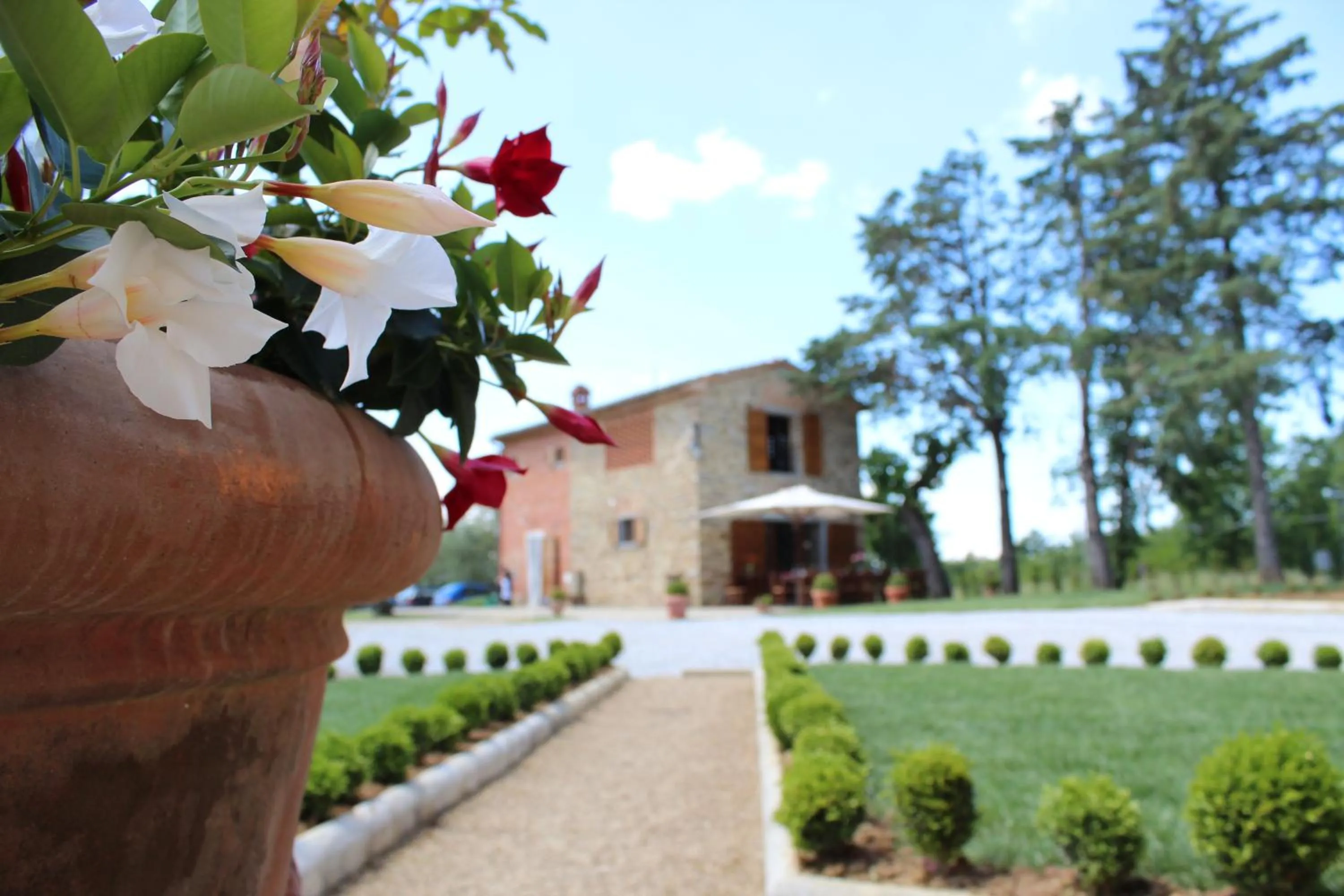 Garden in La Cantina Relais - Fattoria Il Cipresso
