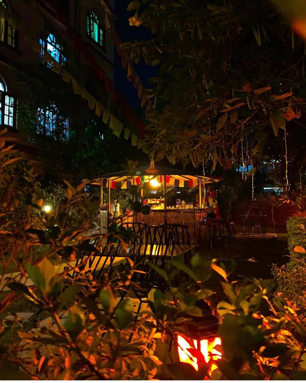 Cloud 9 Garden