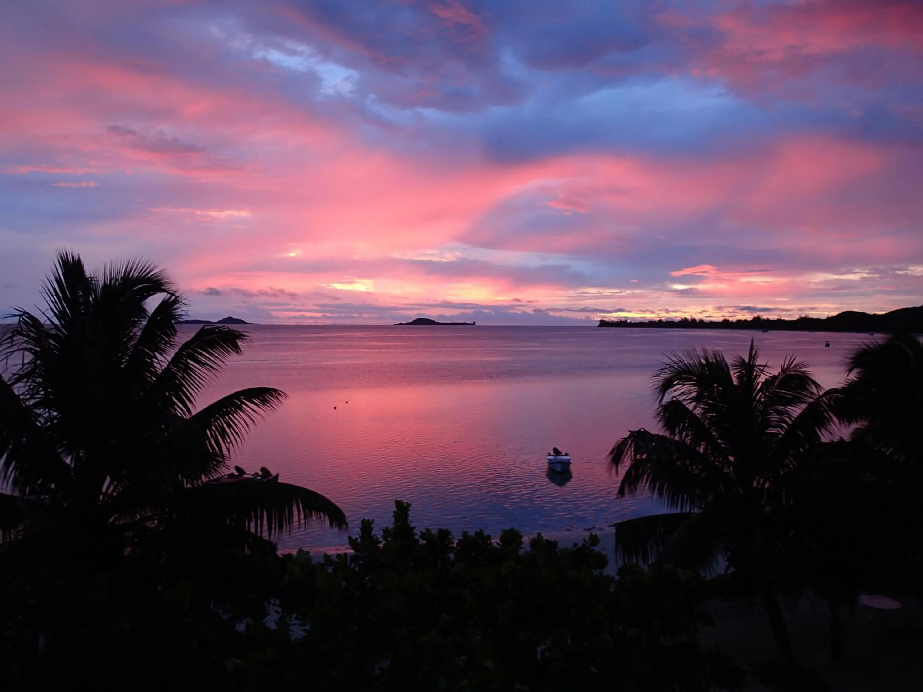 Natural landscape in Palm Beach Hotel