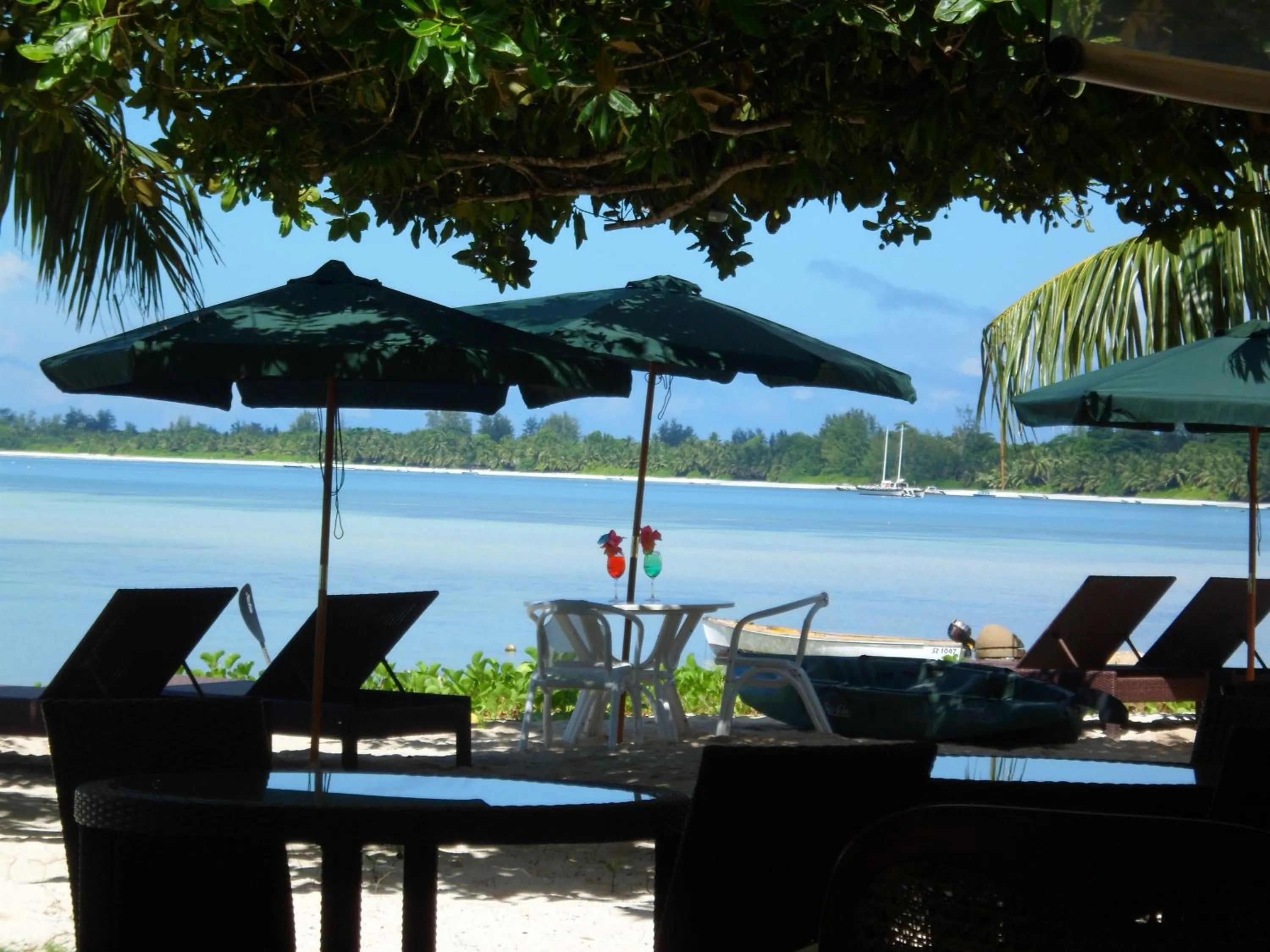 View (from property/room) in Palm Beach Hotel