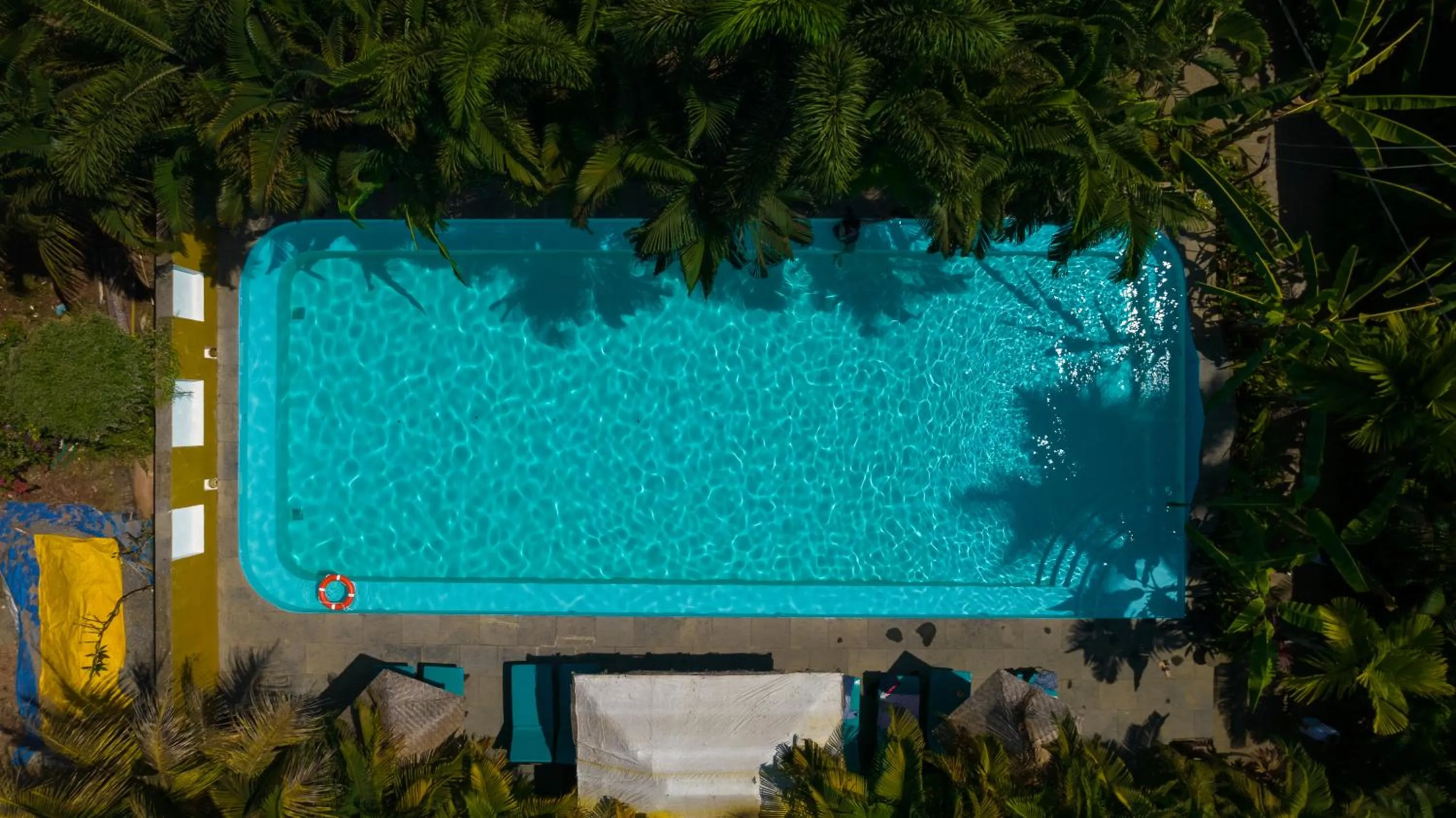 Swimming pool in juSTa Morjim Beach Resort Goa - 80 Steps from Morjim Beach