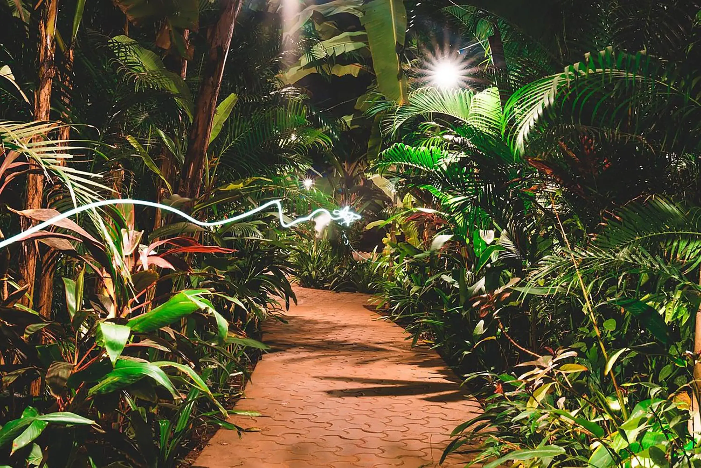 Property building in juSTa Morjim Beach Resort Goa - 80 Steps from Morjim Beach Property building in juSTa Morjim Beach Resort Goa - 80 Steps from Morjim Beach