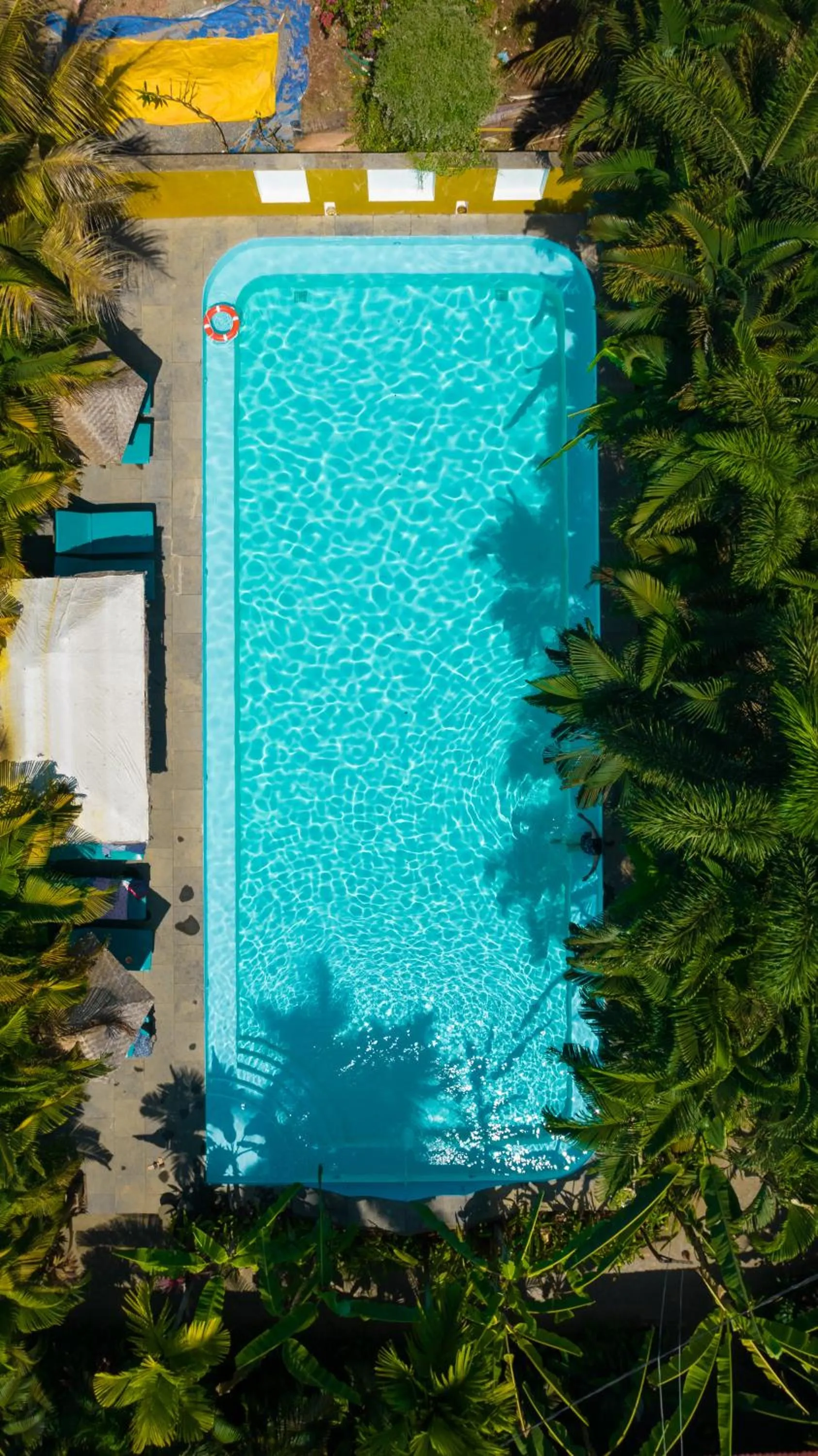 Swimming pool in juSTa Morjim Beach Resort Goa - 80 Steps from Morjim Beach