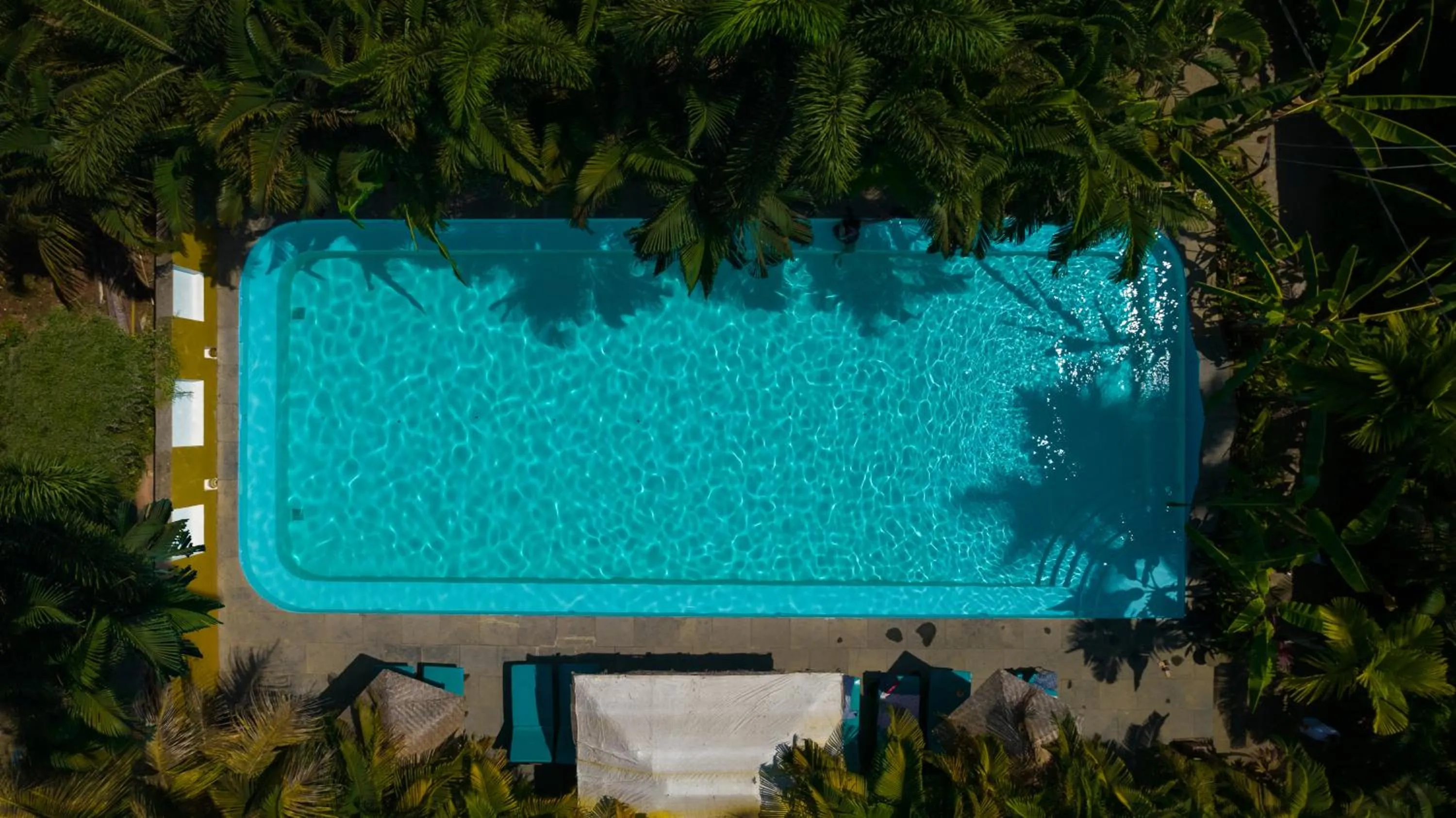 Swimming pool in juSTa Morjim Beach Resort Goa - 80 Steps from Morjim Beach