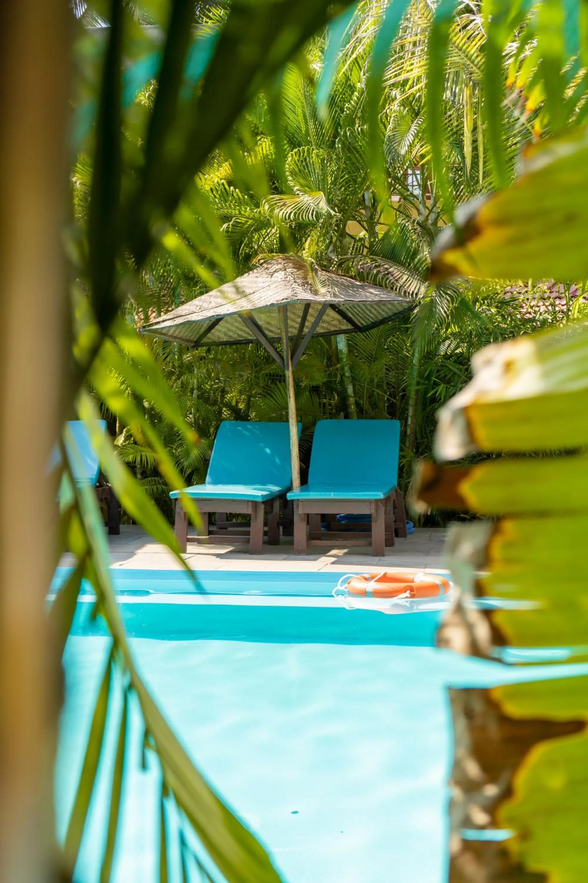 Swimming pool in juSTa Morjim Beach Resort Goa - 80 Steps from Morjim Beach