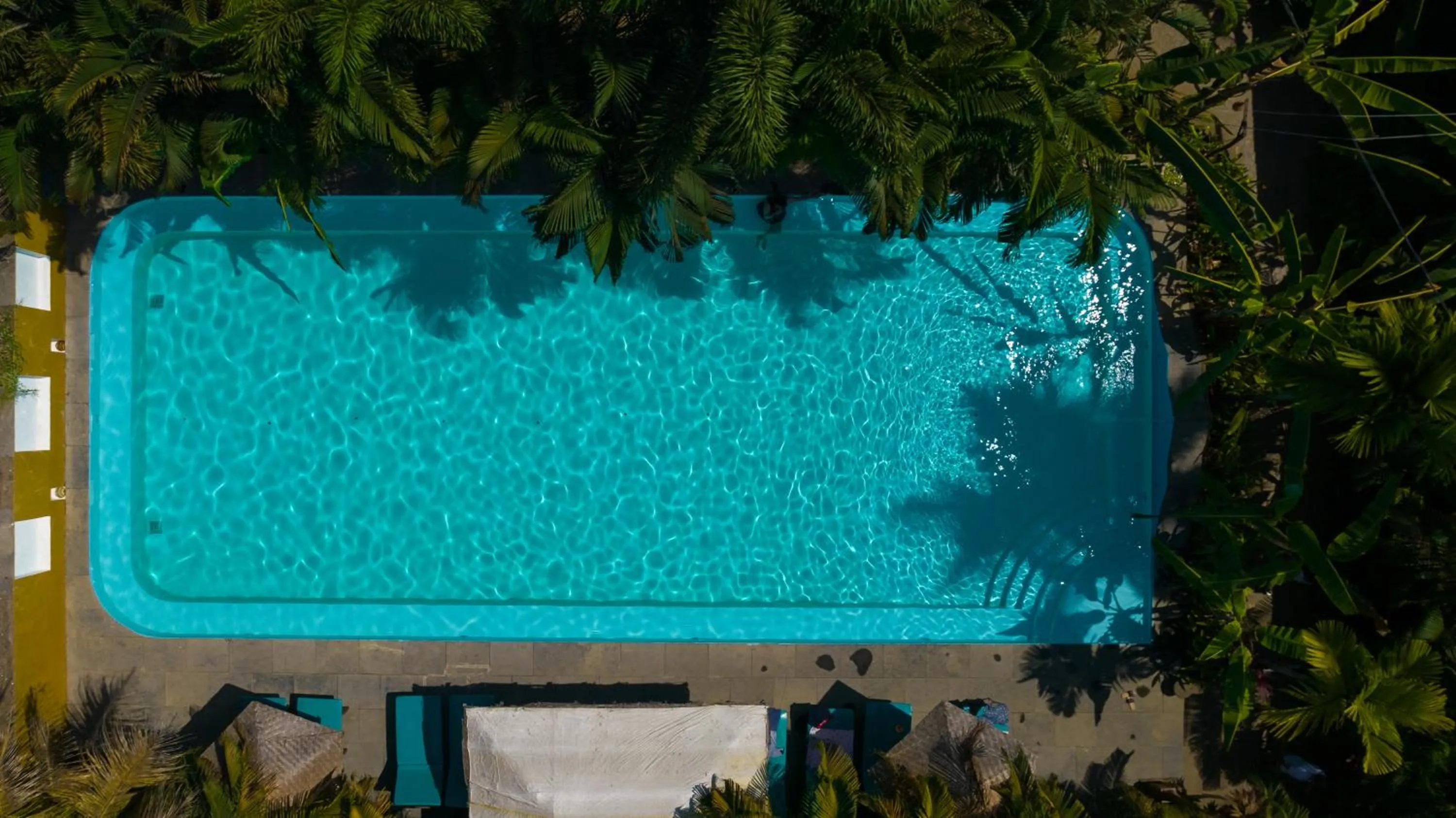 Swimming pool in juSTa Morjim Beach Resort Goa - 80 Steps from Morjim Beach