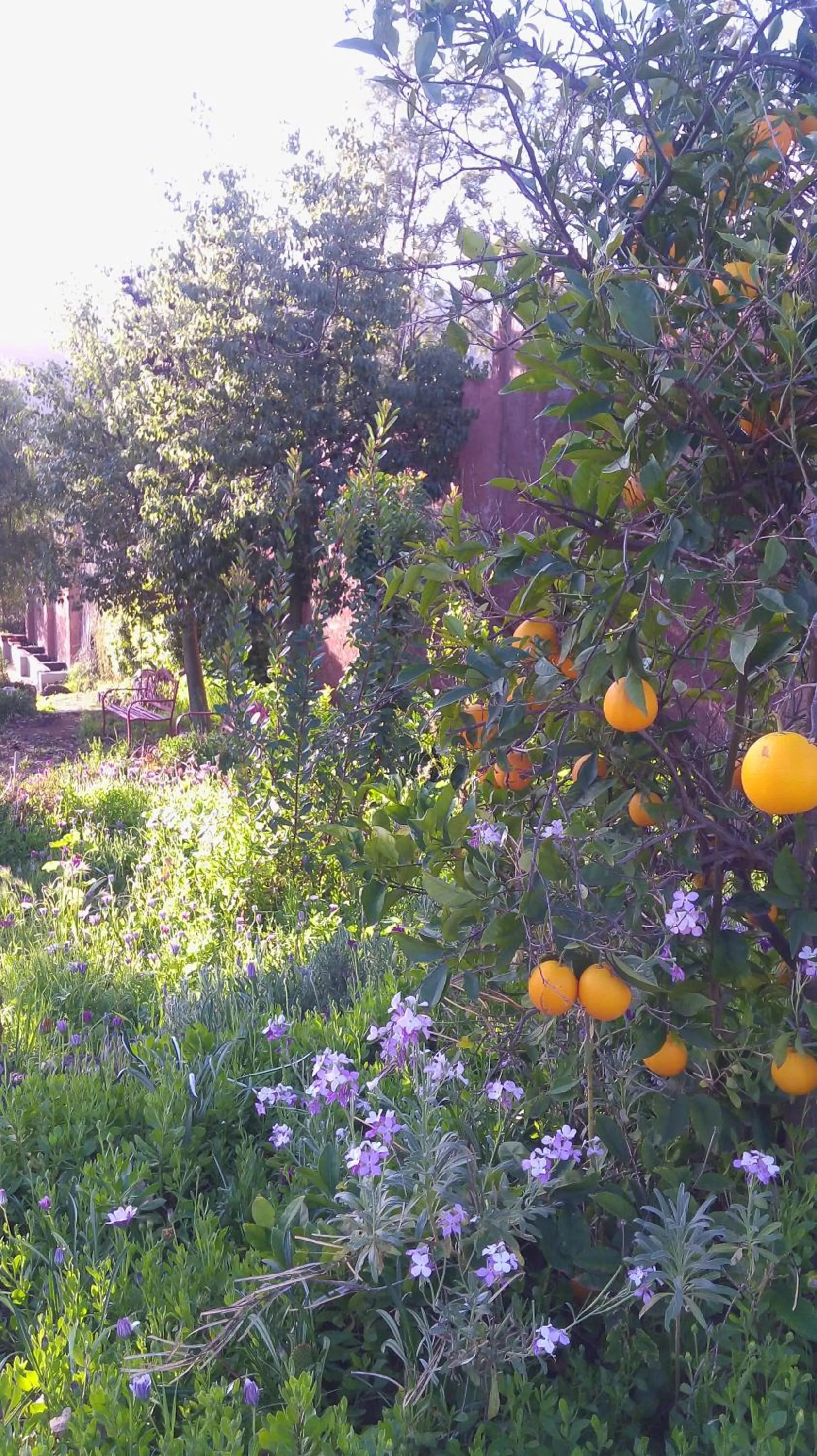 Garden in Quinta Maria en la Ruta del Vino