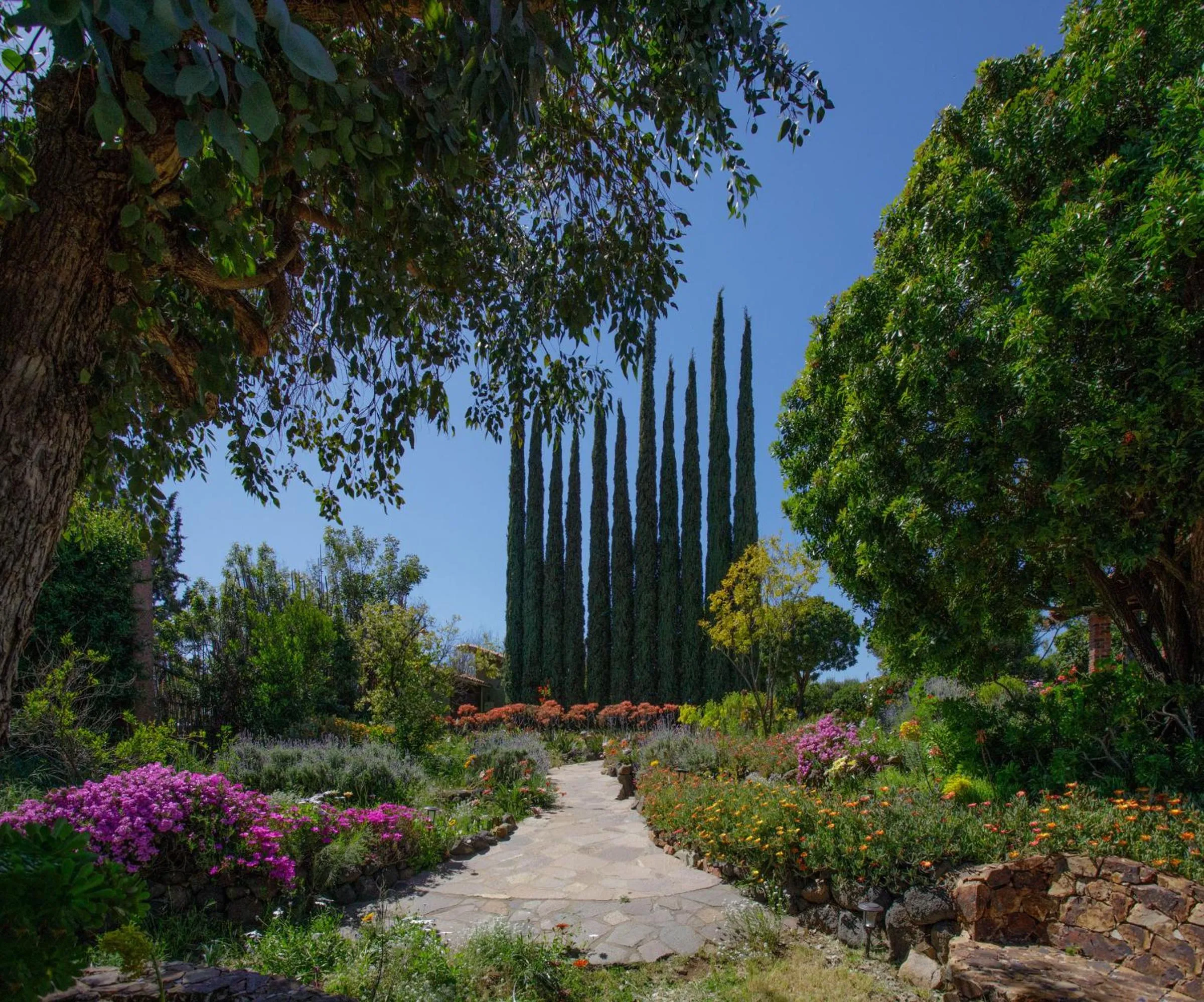 Garden view in Quinta Maria en la Ruta del Vino