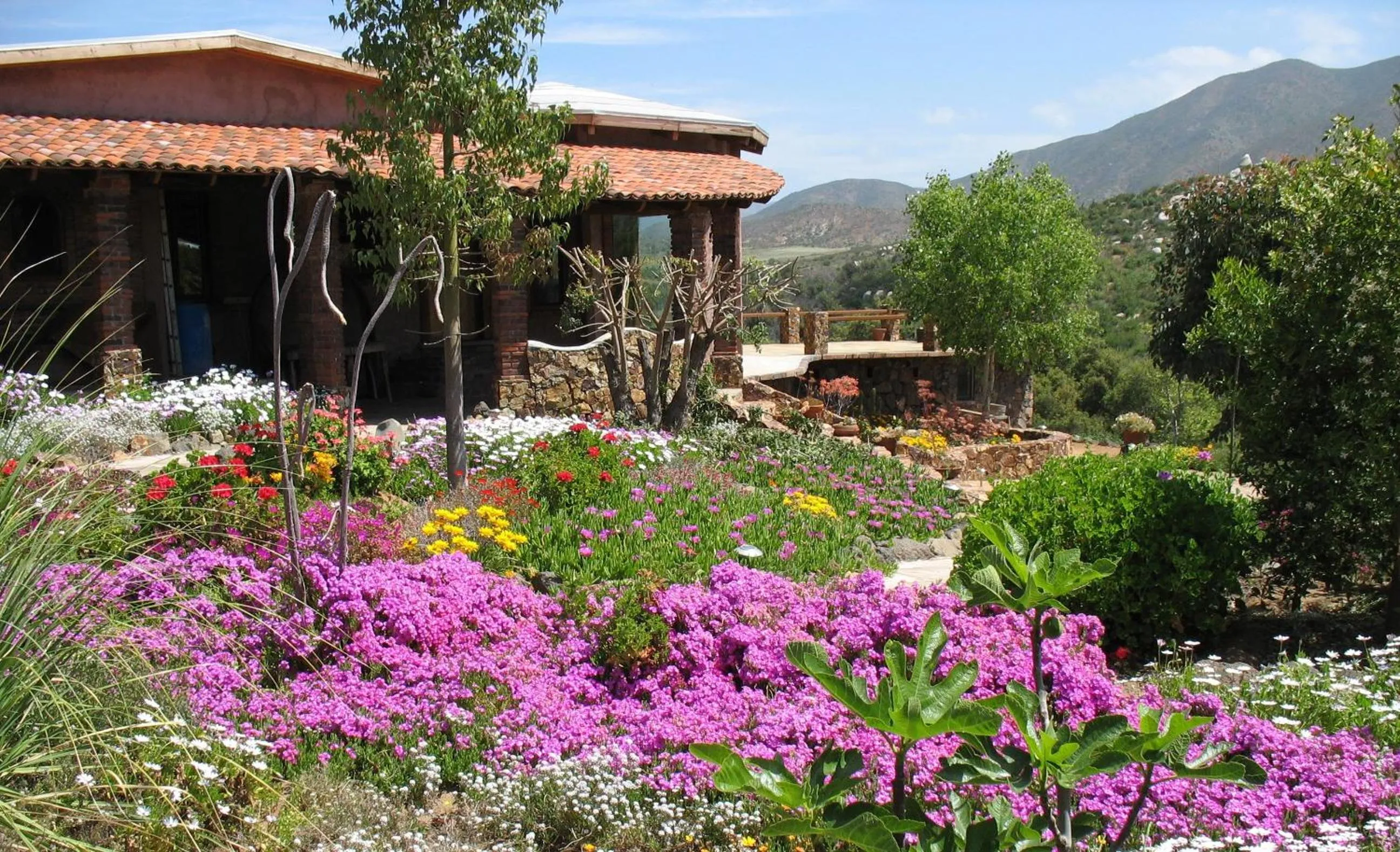 Garden in Quinta Maria en la Ruta del Vino