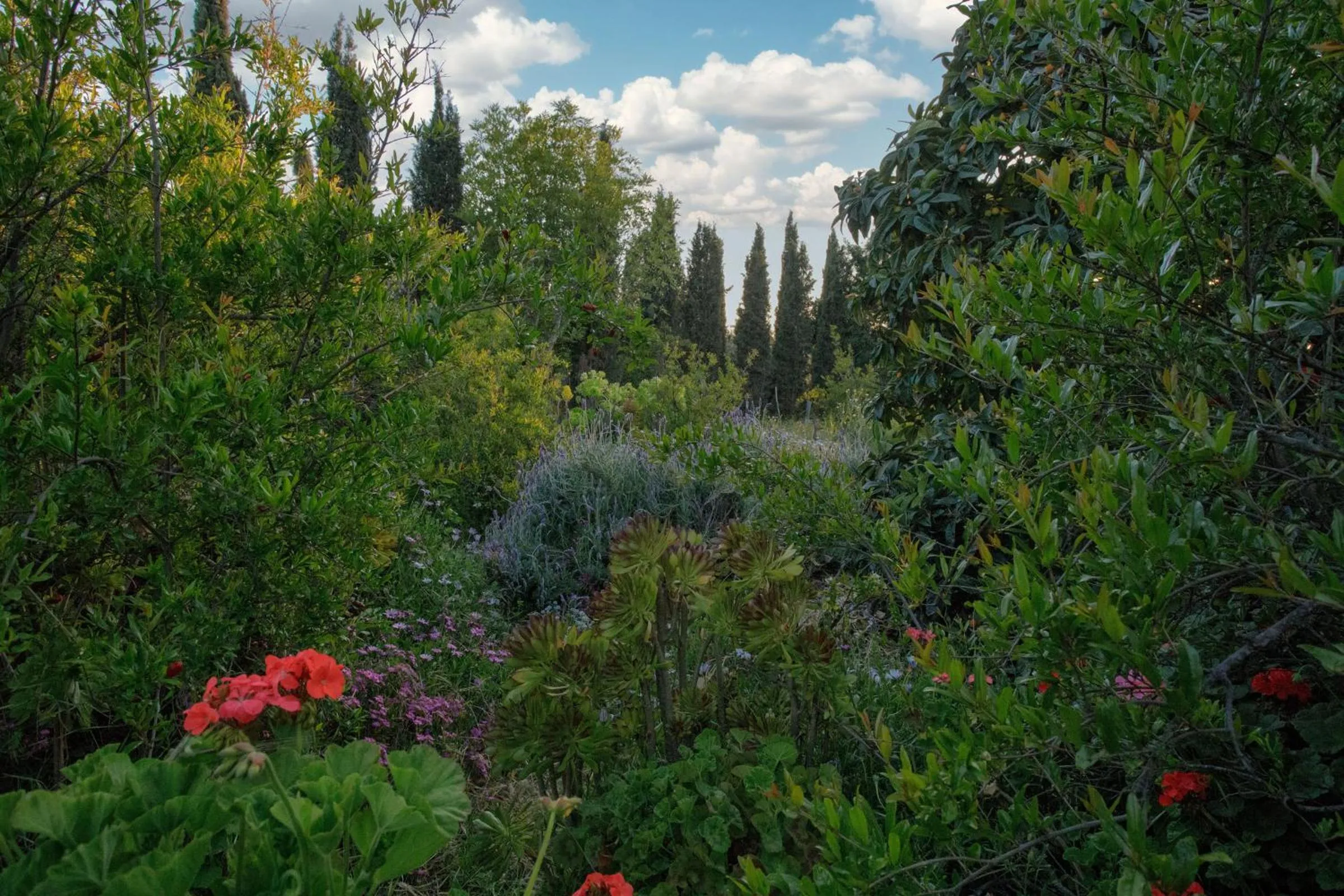 Spring in Quinta Maria en la Ruta del Vino
