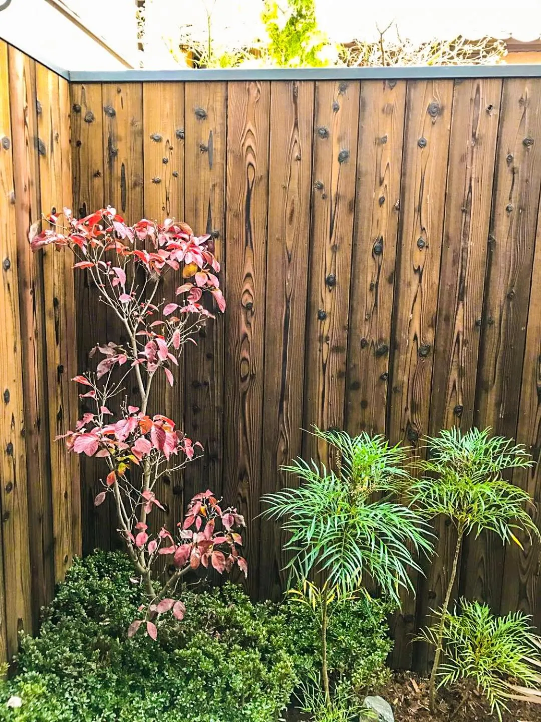 Garden in INN Plus Toji Kindo