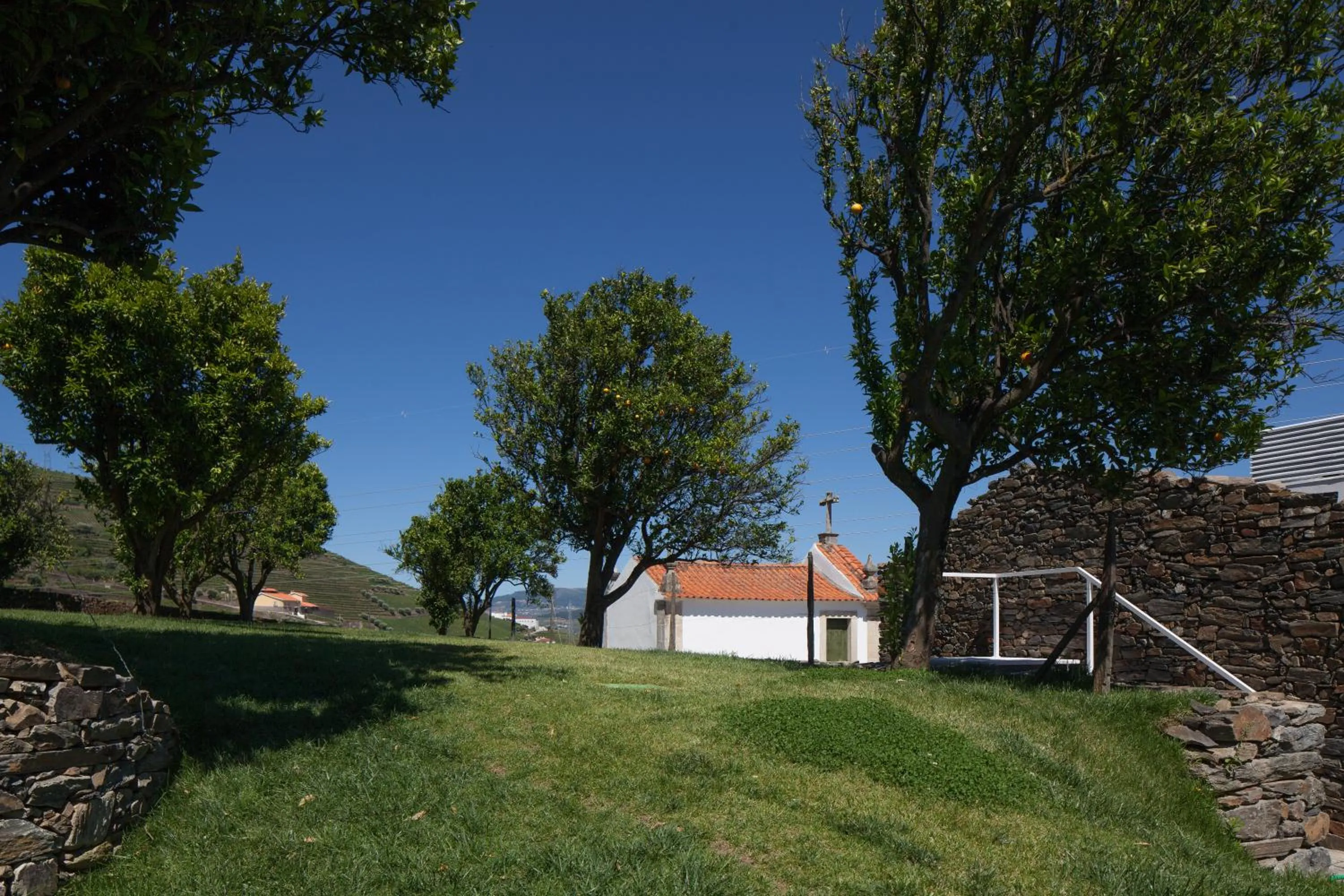 Garden in Quinta De Casaldronho Wine Hotel