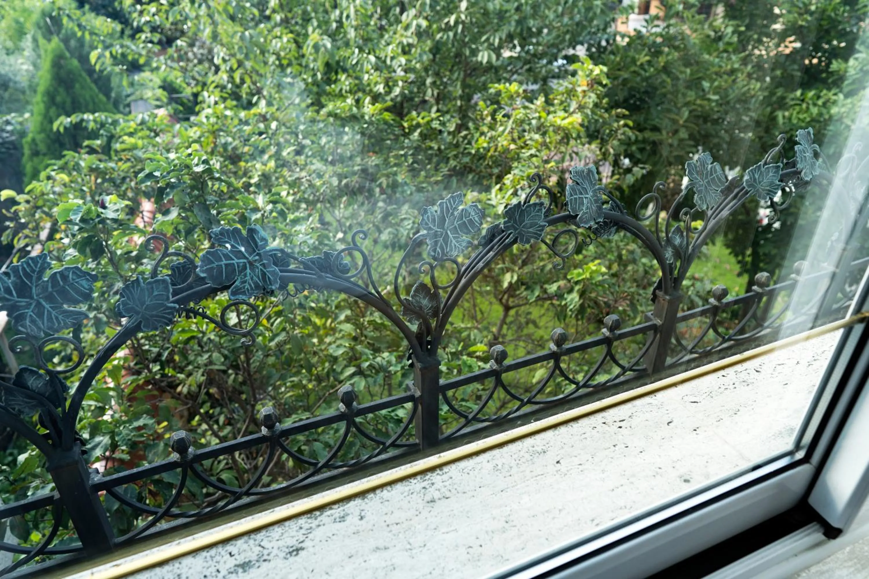 Garden view in Hotel CITY Petrich
