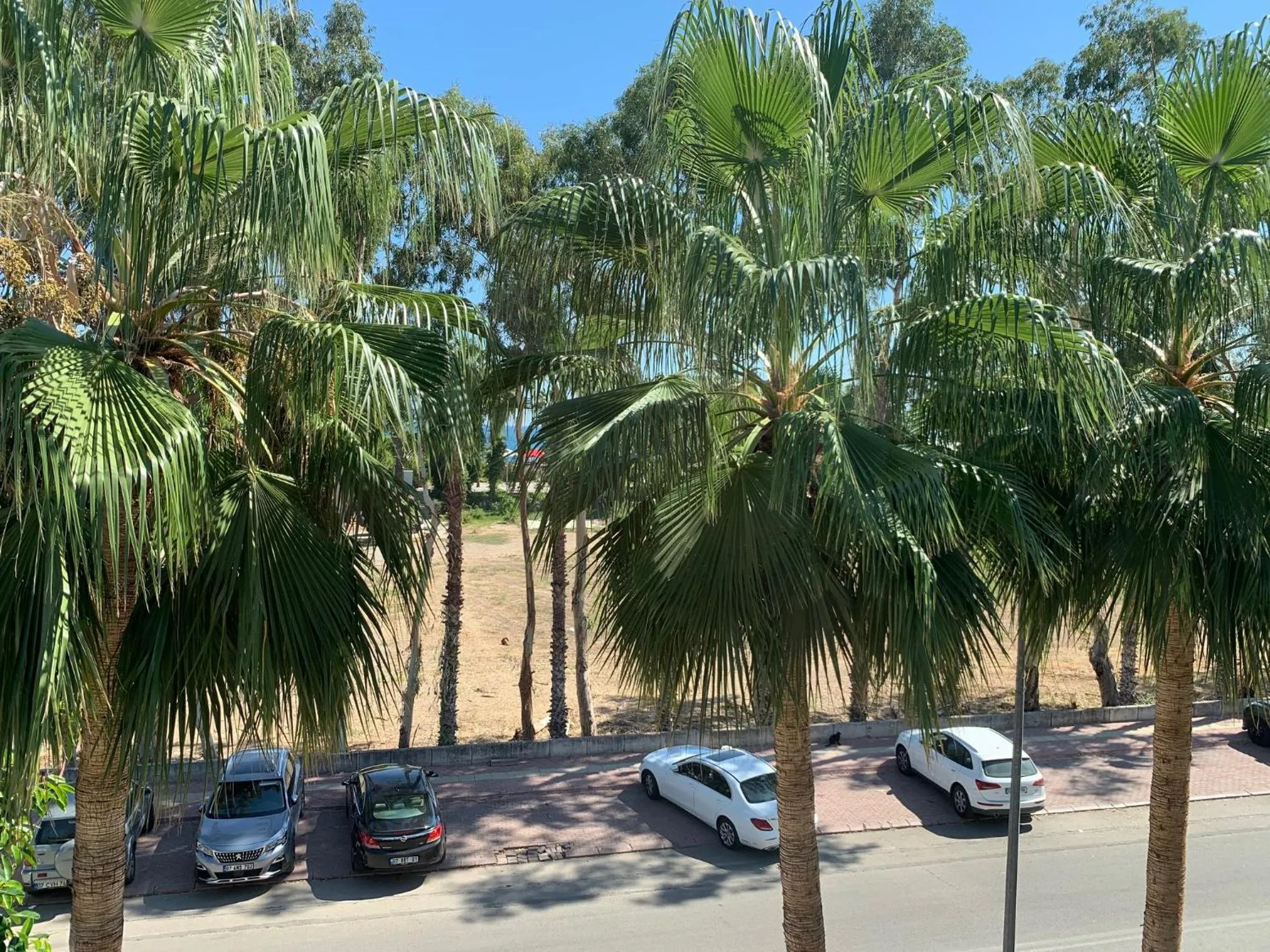 Natural landscape in Vega Suites