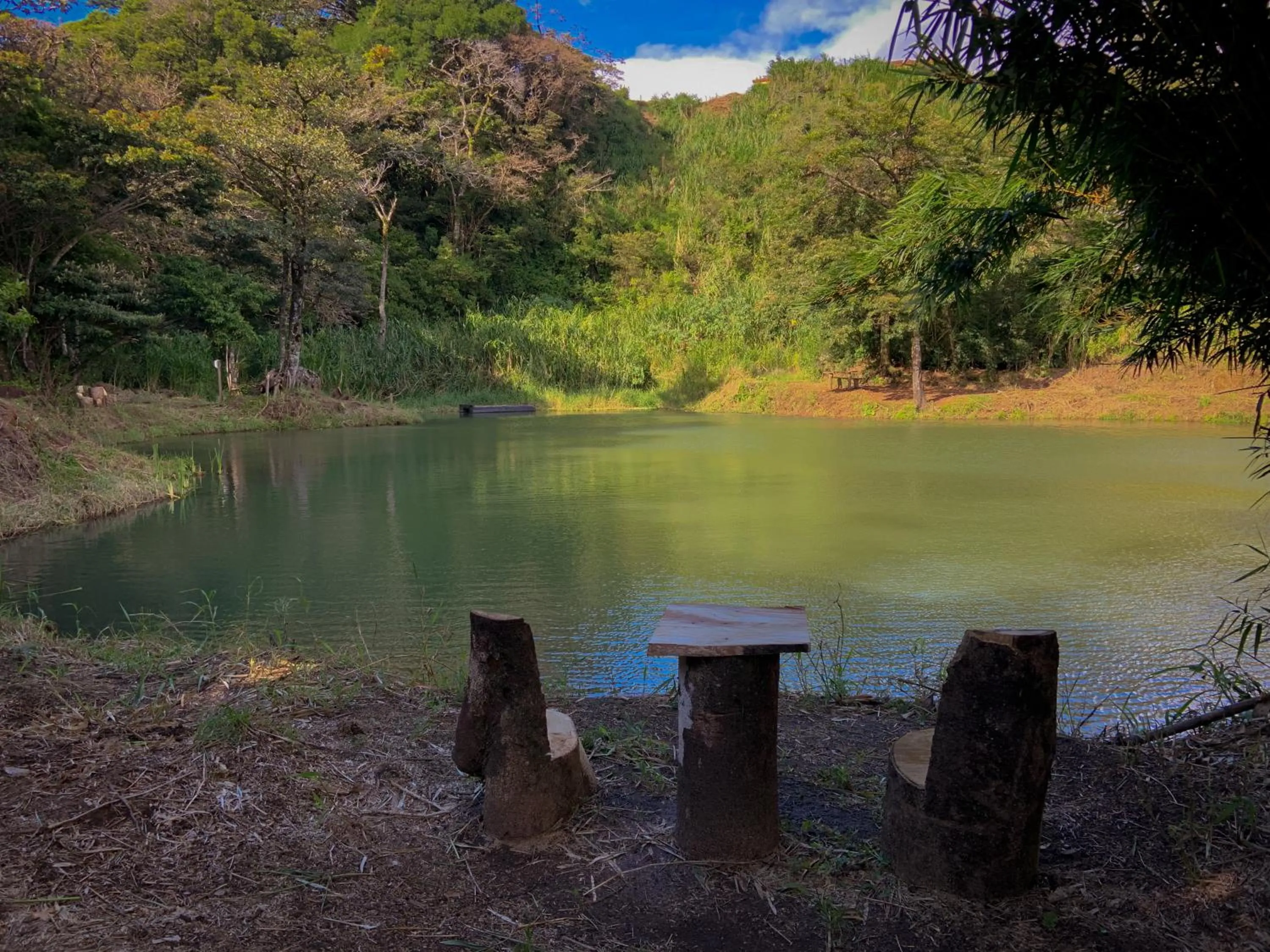 Hiking in Hotel Montaña Monteverde
