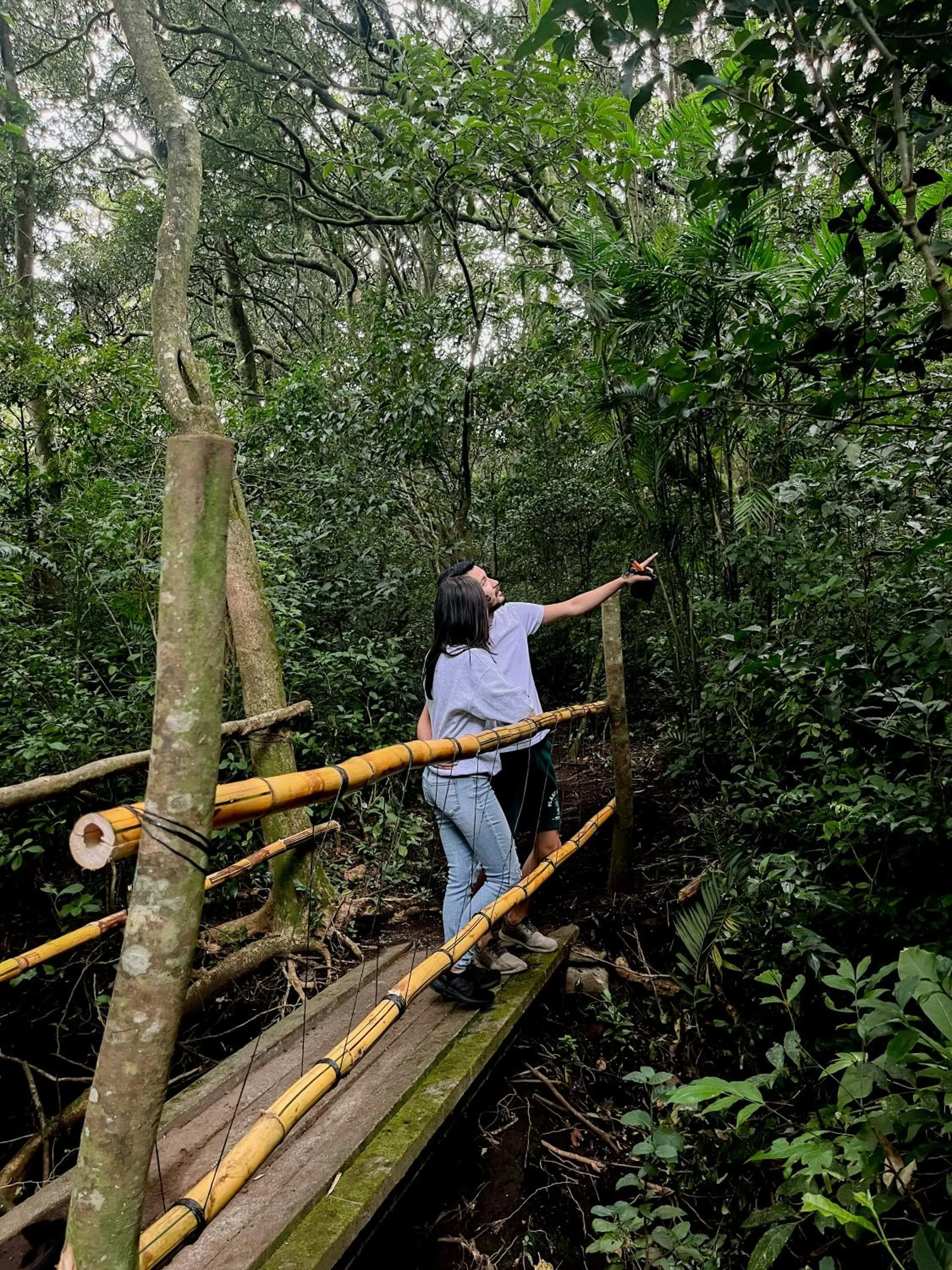 Hiking in Hotel Montaña Monteverde