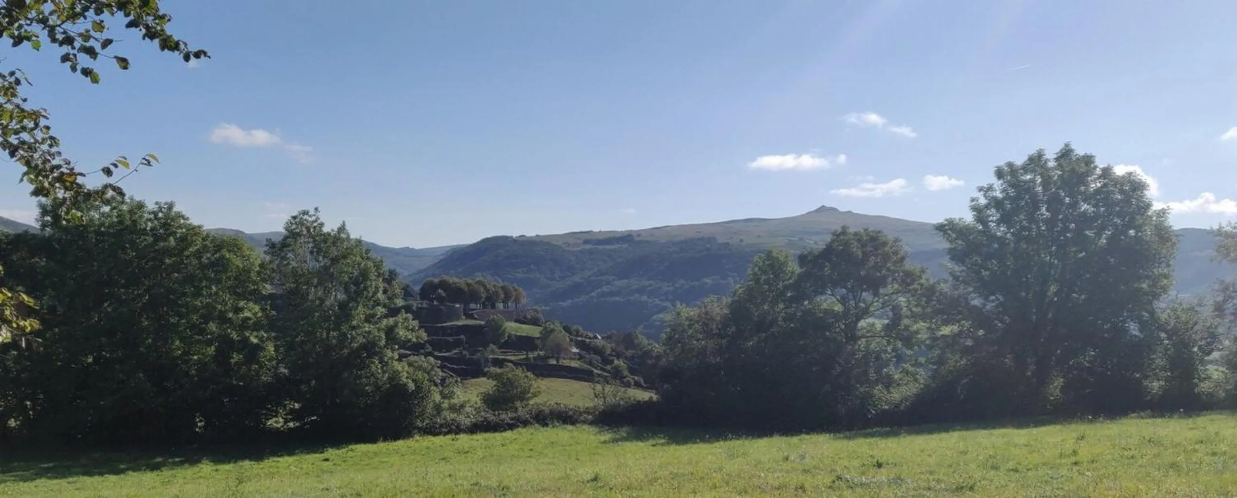 Garden in Maison d'Hôtes La Grange