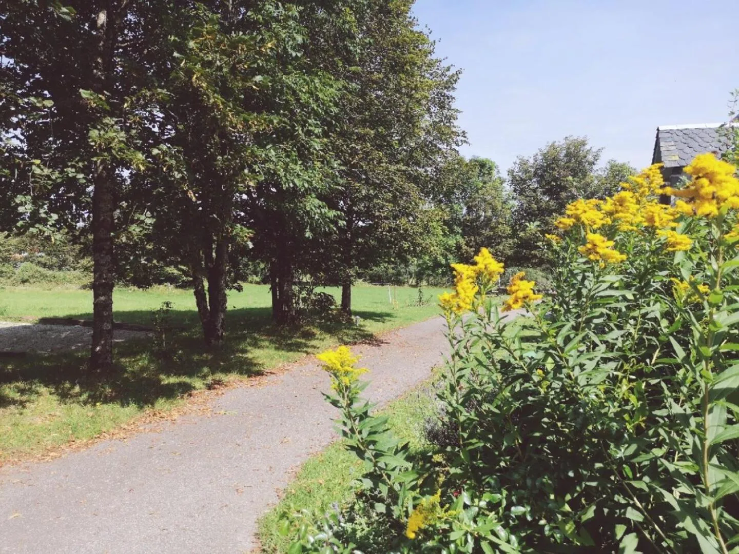 Garden in Maison d'Hôtes La Grange