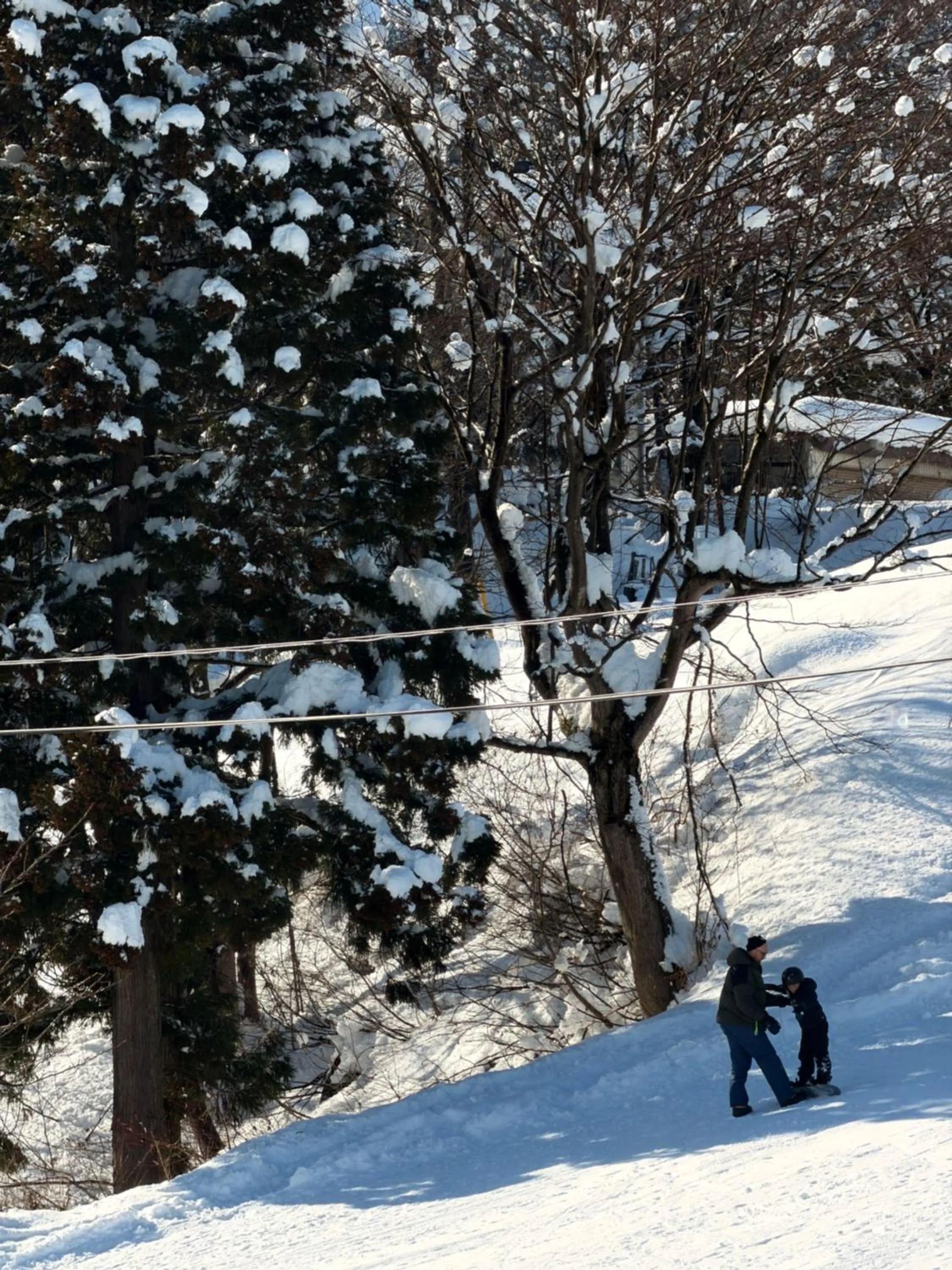 Yuzawa Hotel New Fukudaya-ski in ski out