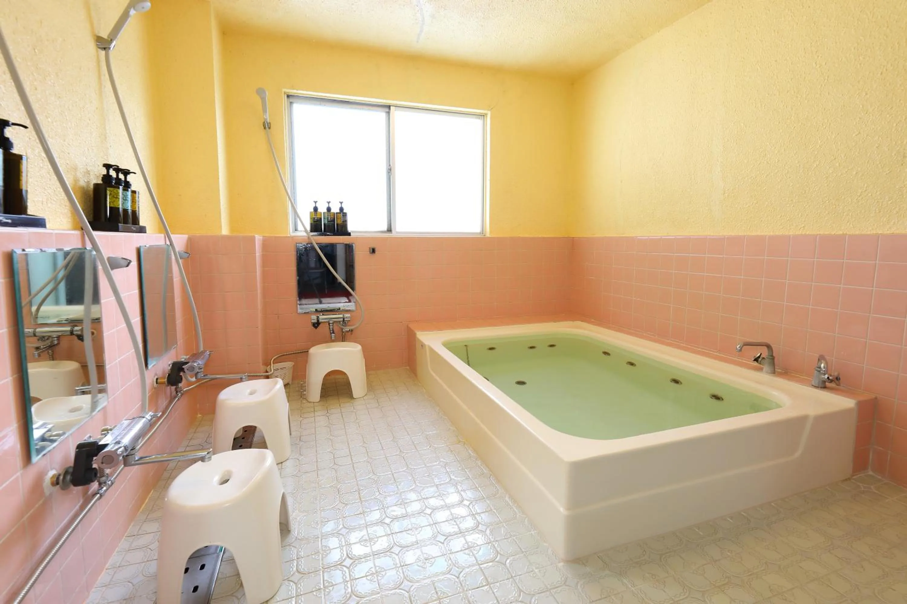 Bathroom in Ishiuchi Ski Center