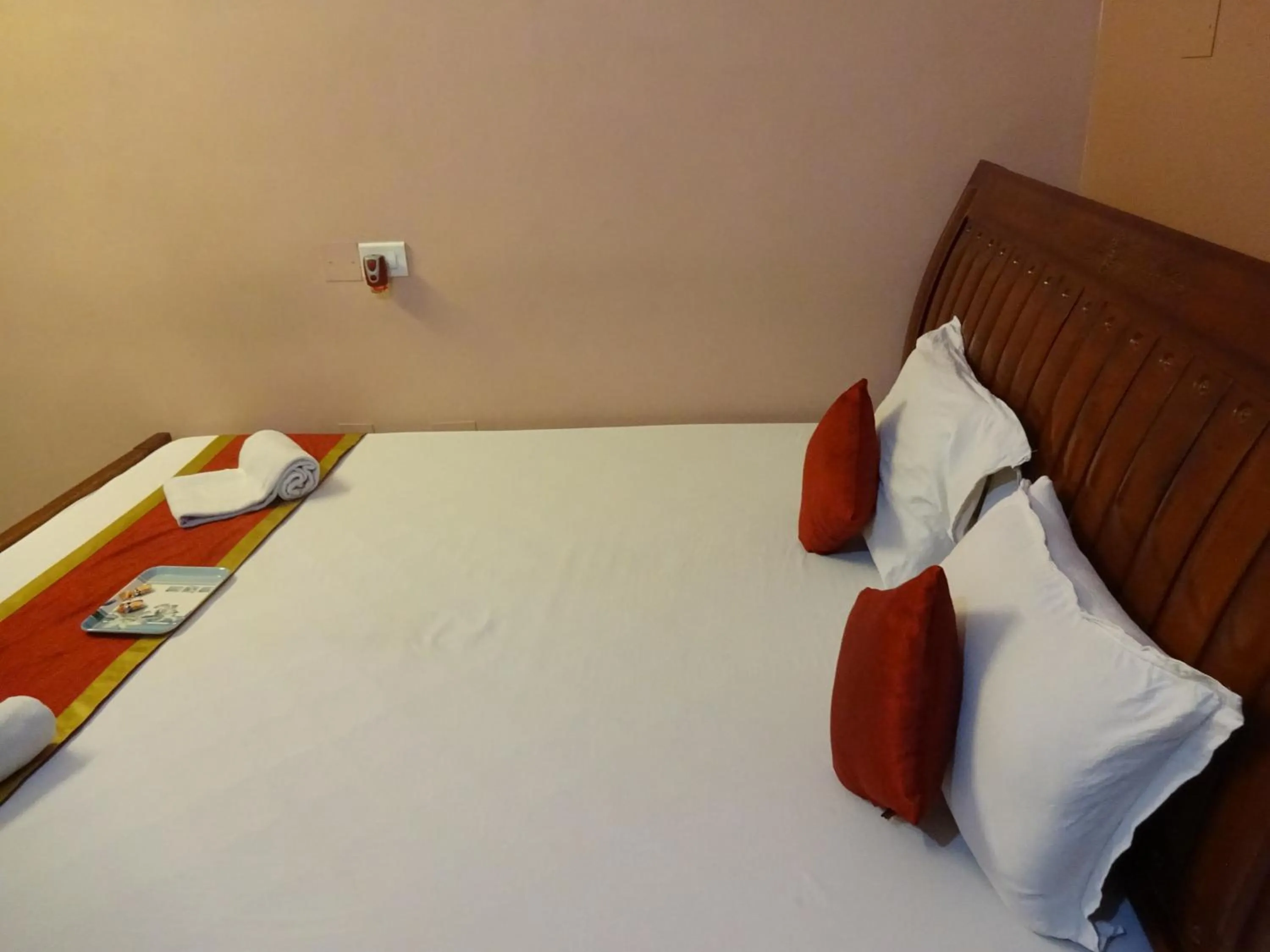 Deluxe Double Room in Hotel Avisha
