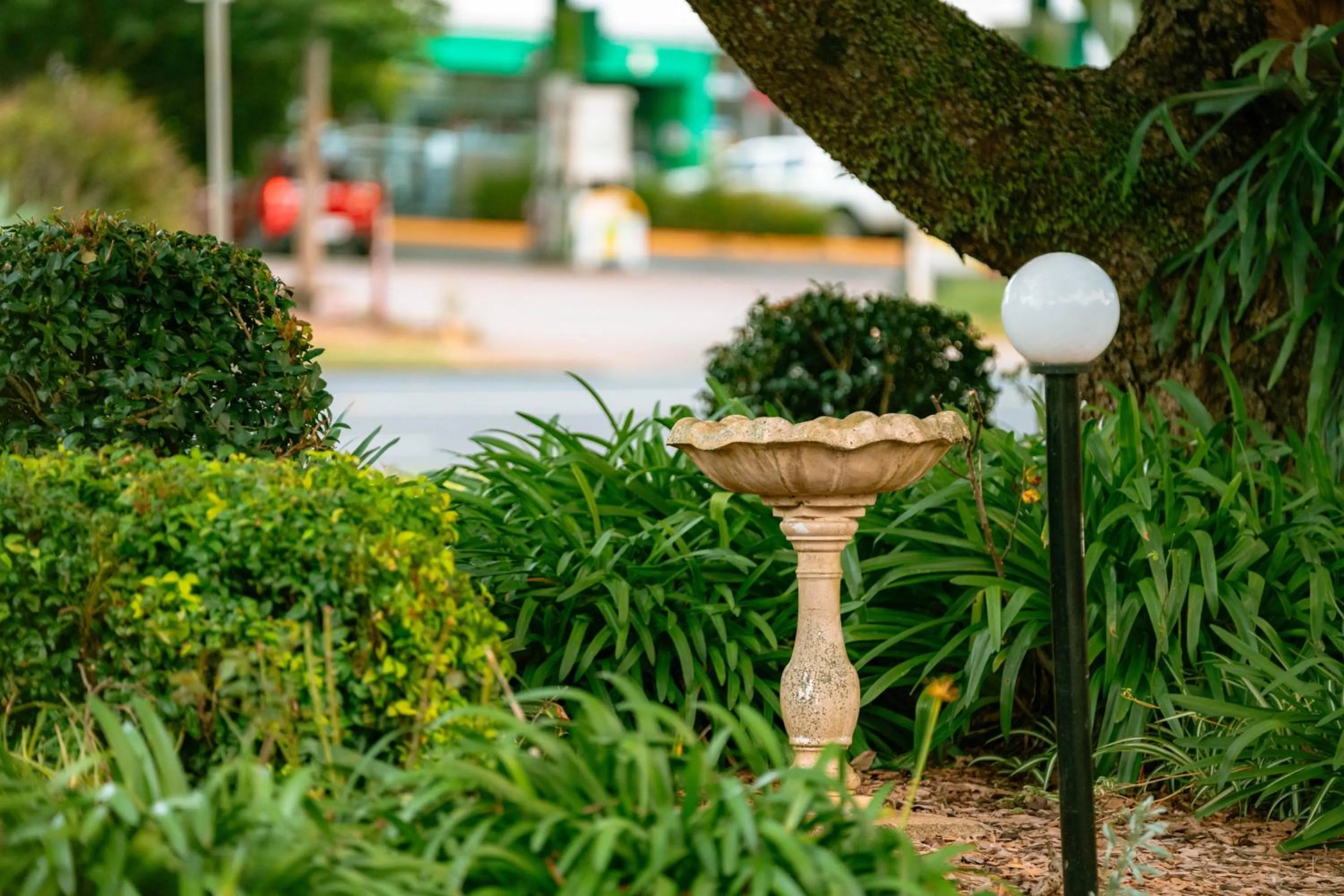 Garden in Best Western Tuscany on Tor Motor Inn
