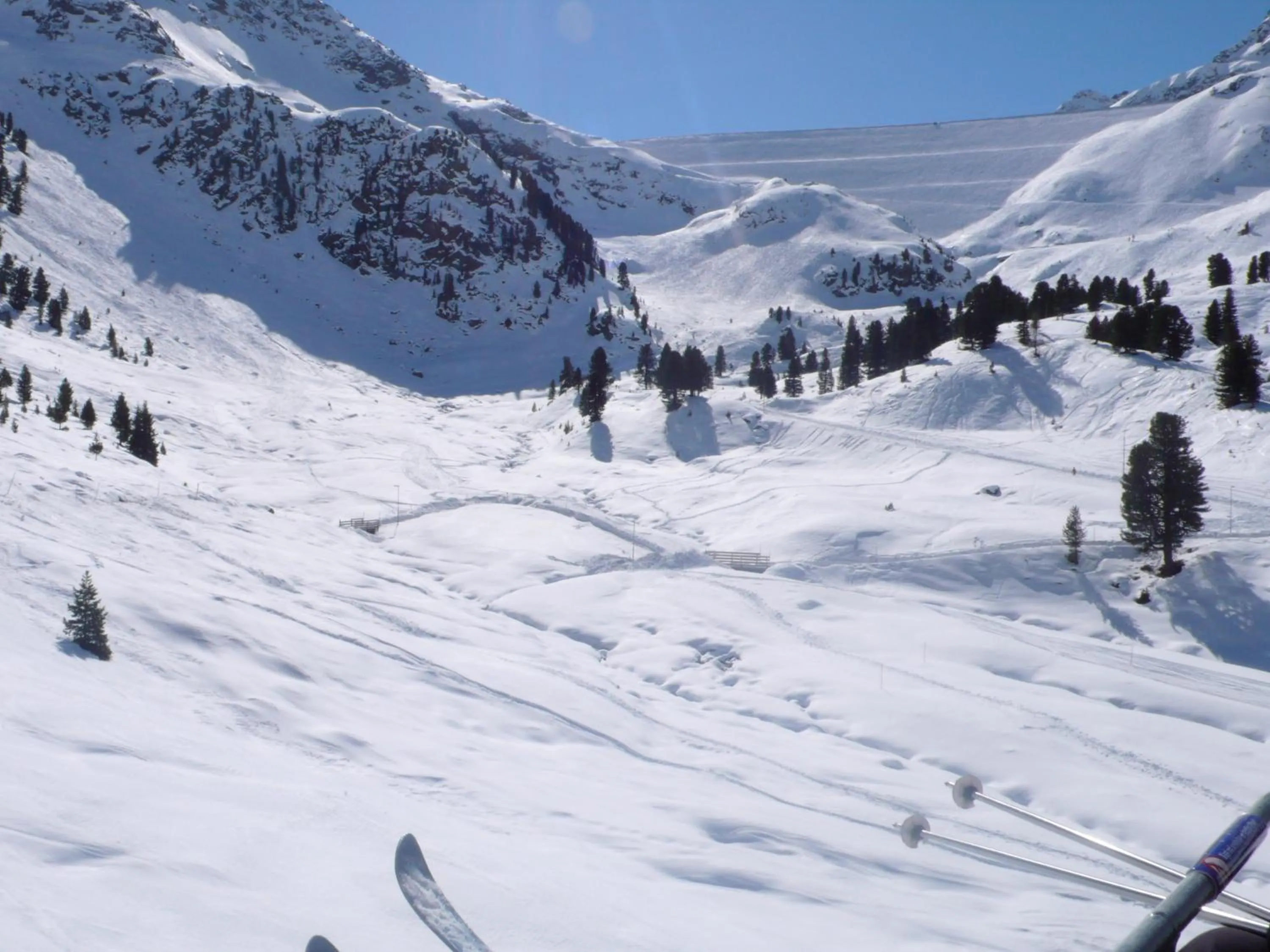 Area and facilities in Hotel Alpenrose aktiv & sport