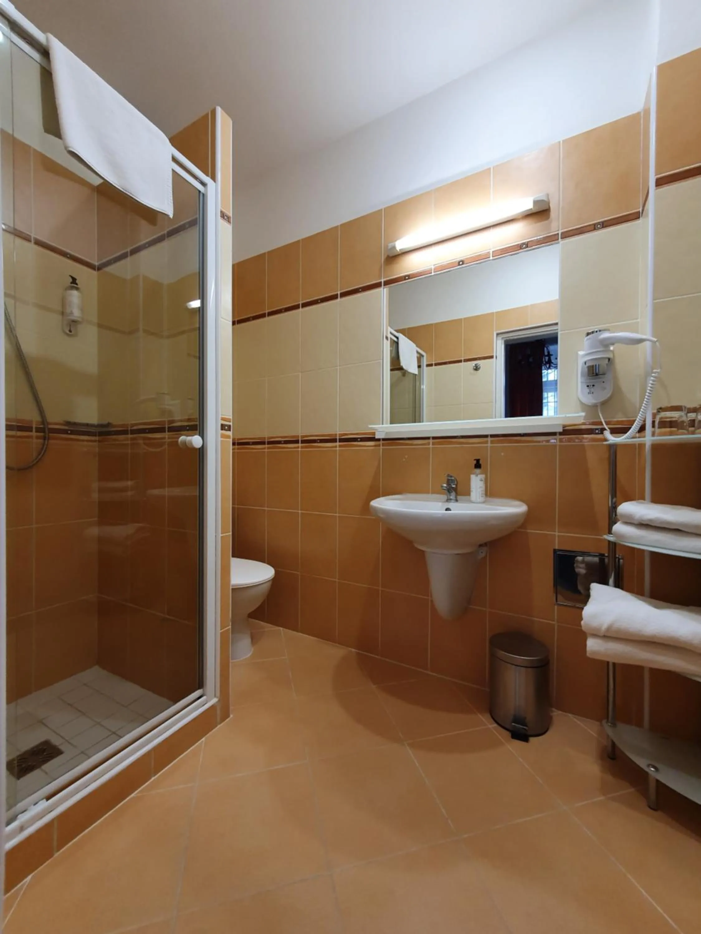 Bathroom in Pension Jana - Domov Mládeže