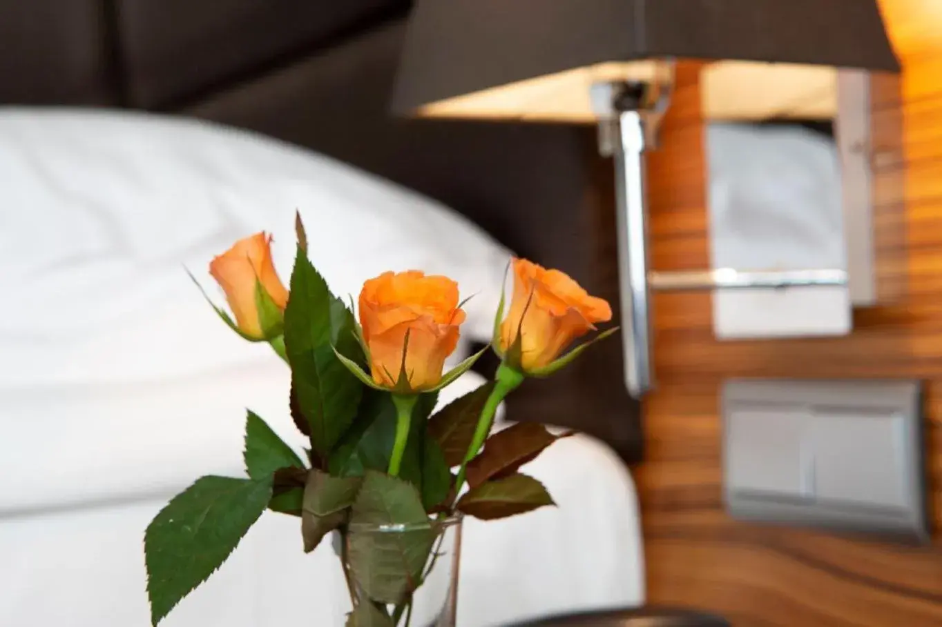 Photo of the whole room in Art Hotel William Photo of the whole room in Art Hotel William