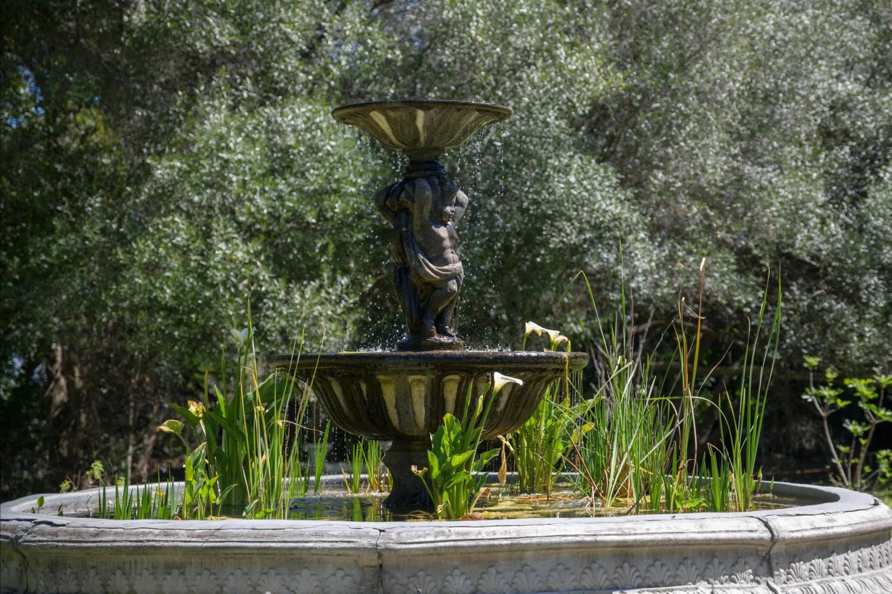 Garden in Sunset Farm Stellenbosch