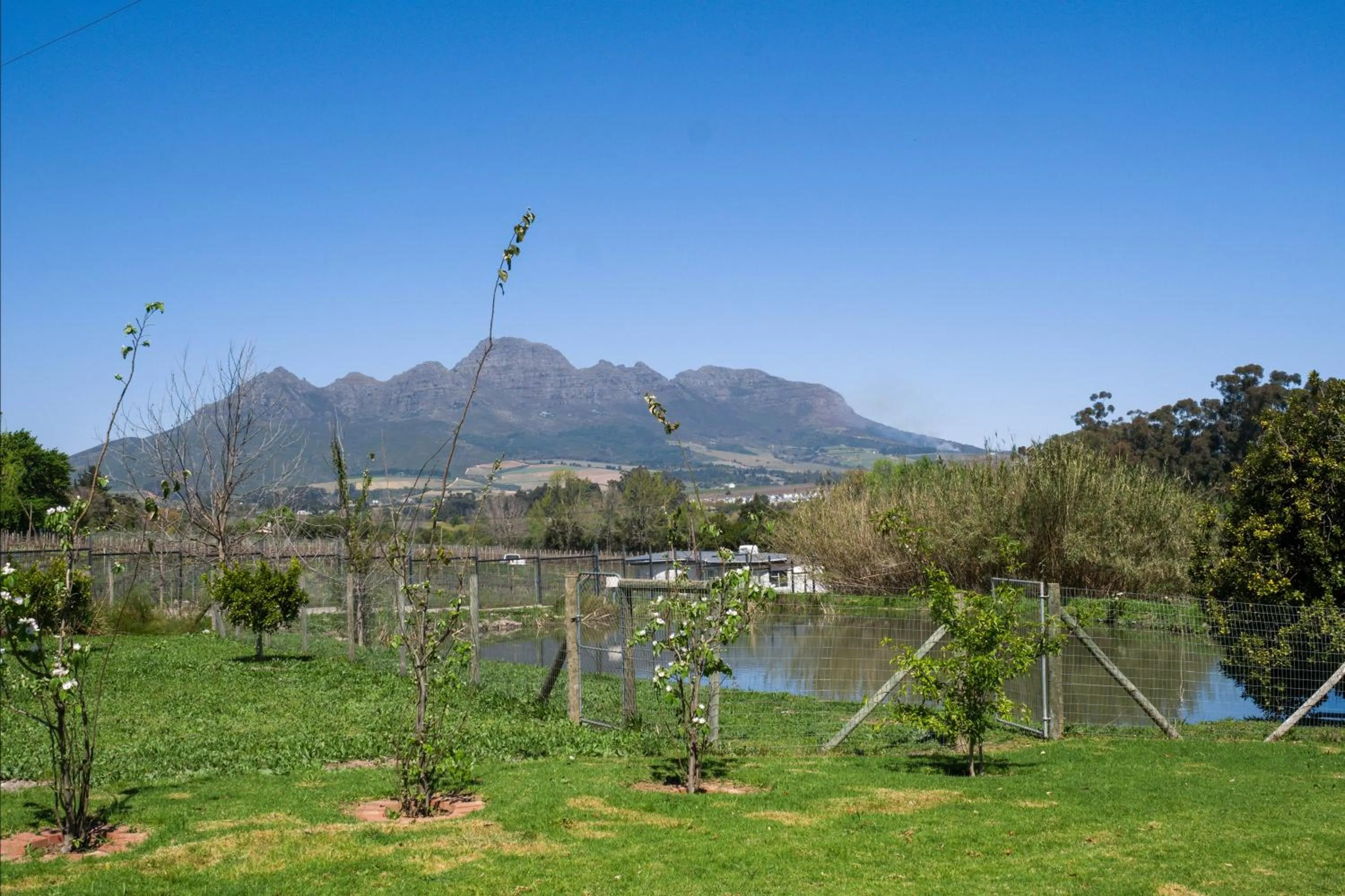 View (from property/room) in Sunset Farm Stellenbosch