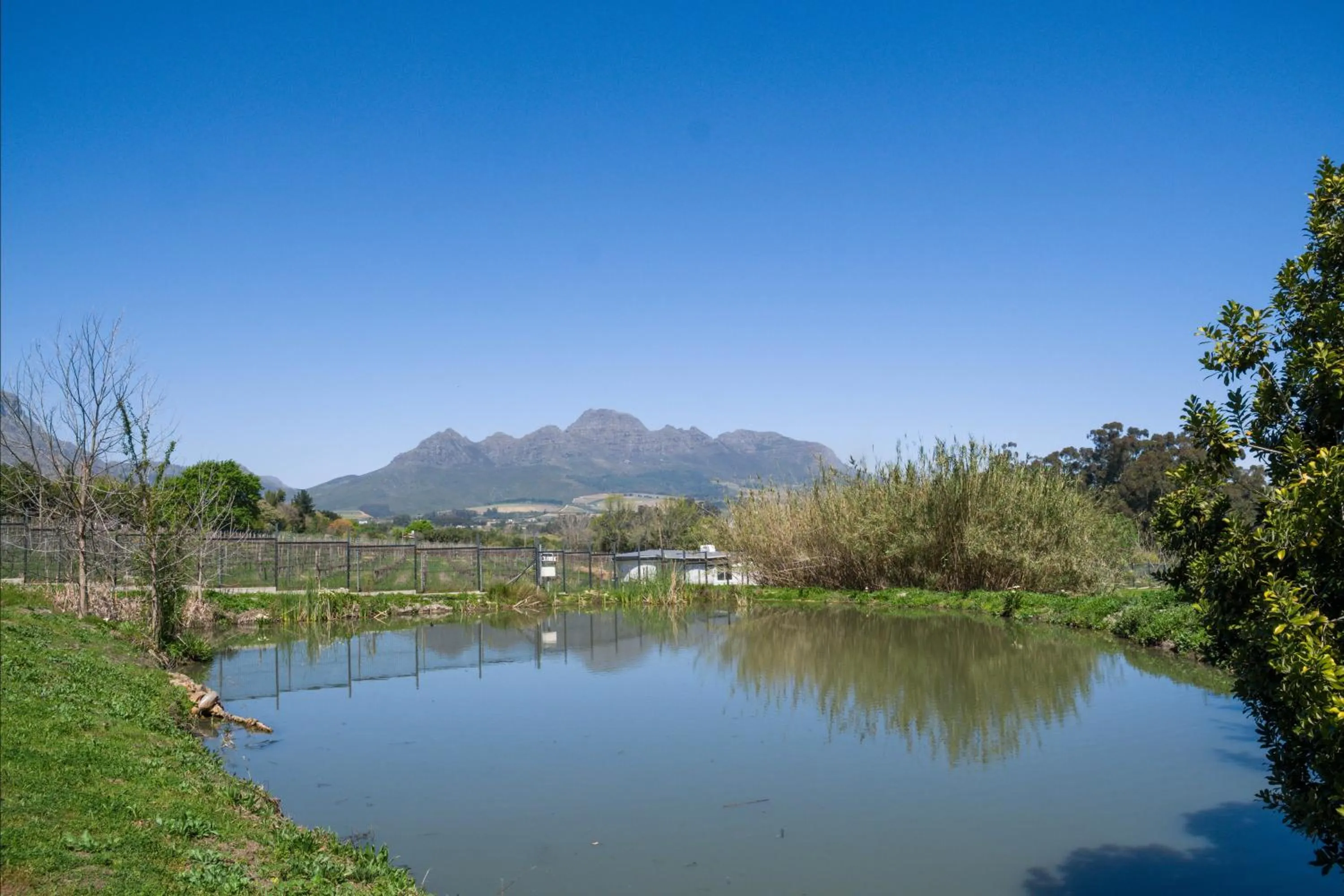 Natural landscape in Sunset Farm Stellenbosch