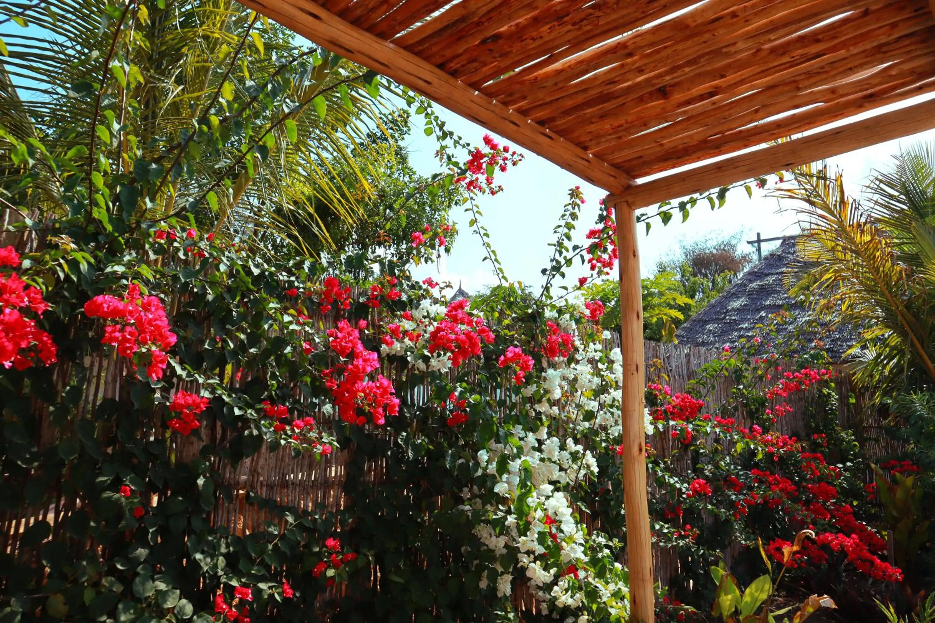 Garden in Kijani Beach Villas