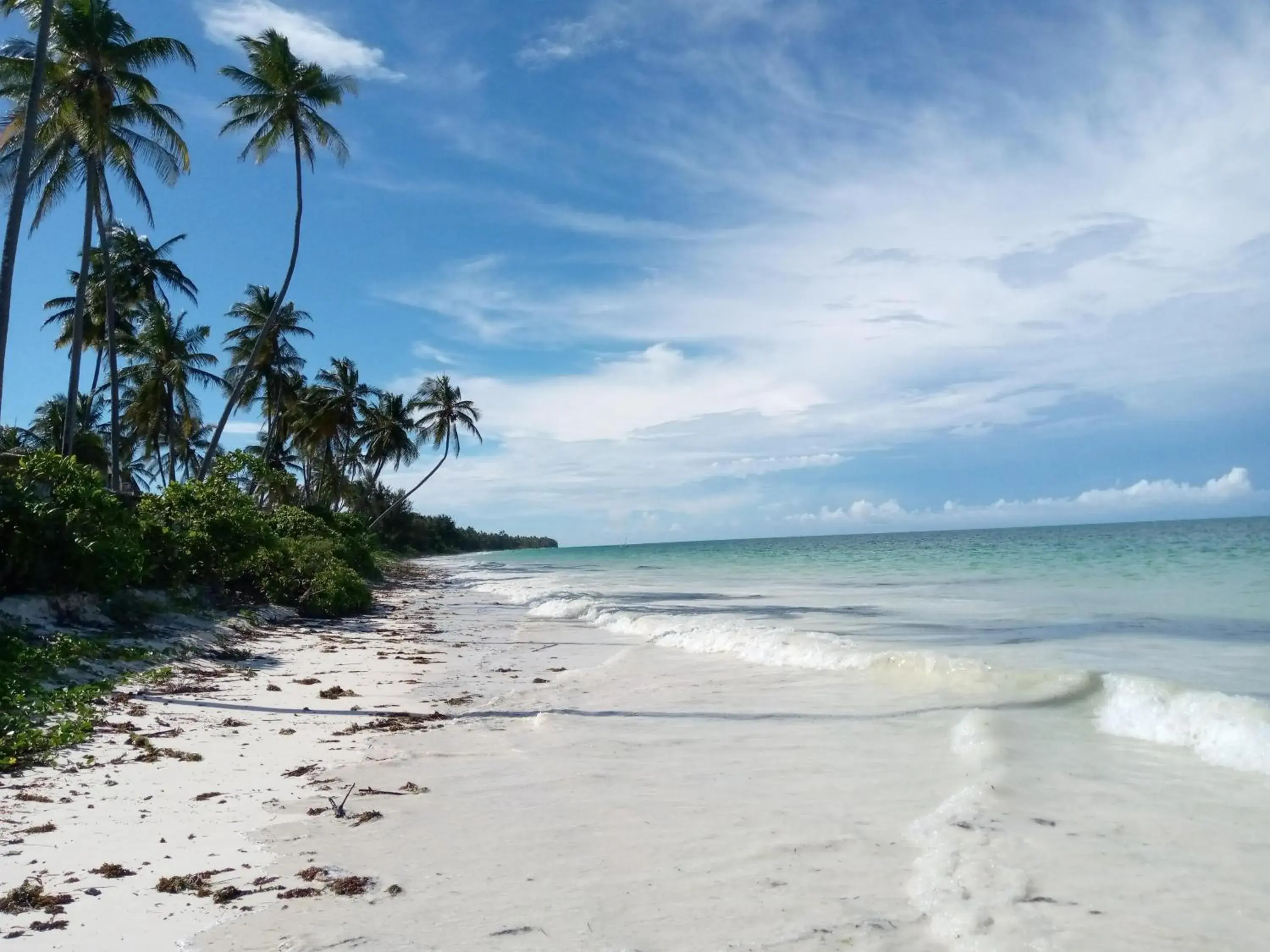 View (from property/room) in Kijani Beach Villas View (from property/room) in Kijani Beach Villas