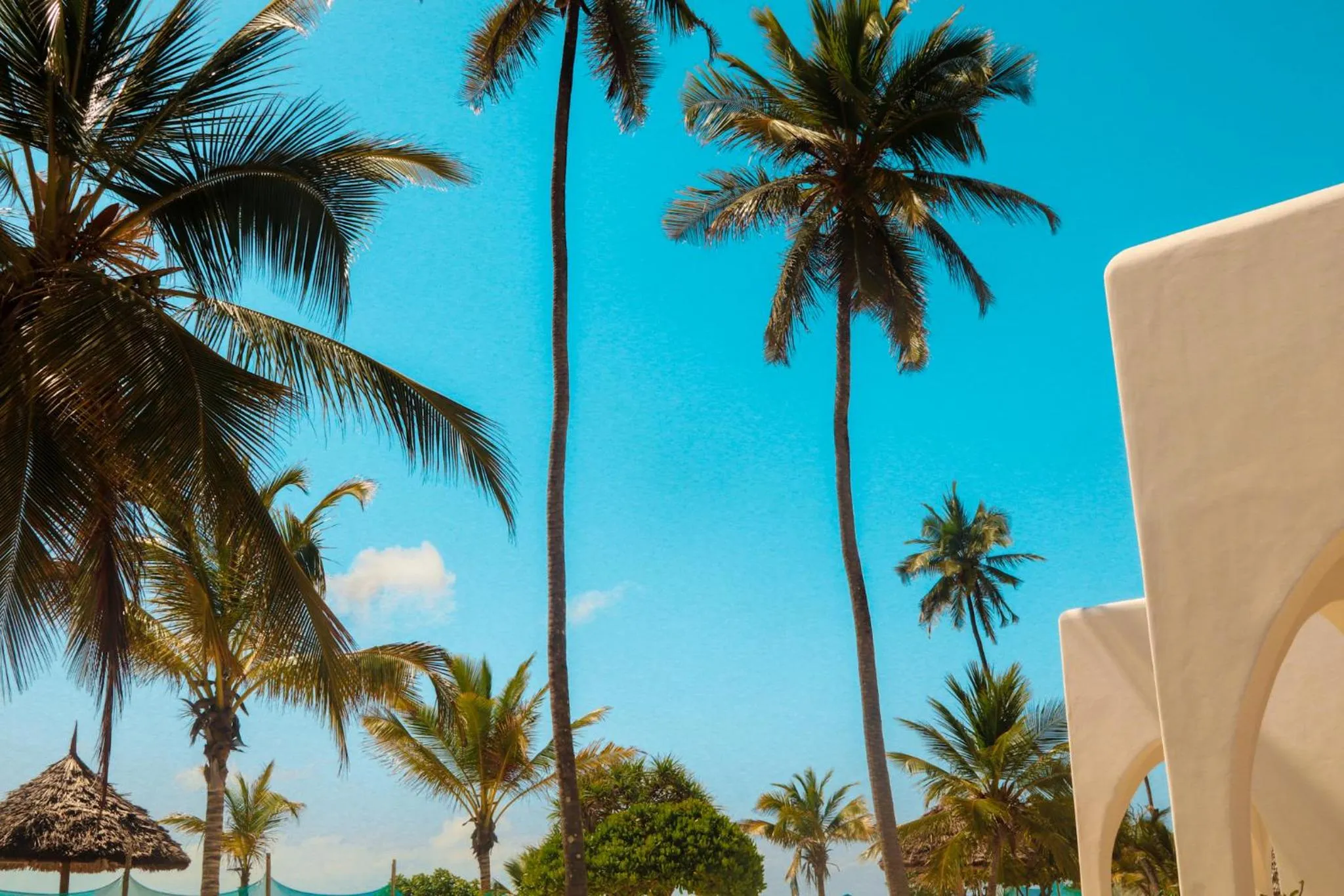 Garden in Kijani Beach Villas