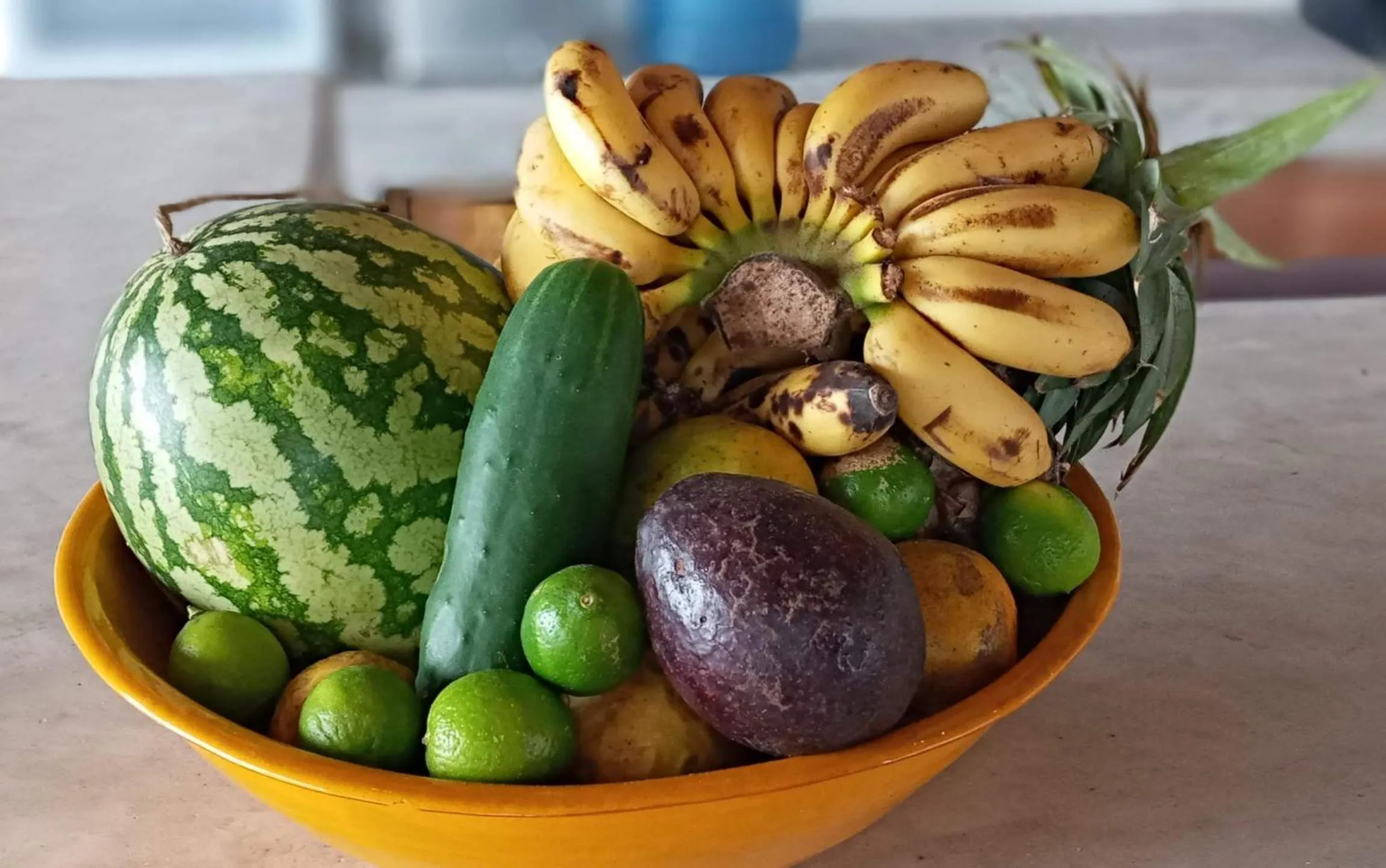 Restaurant/places to eat in Kijani Beach Villas