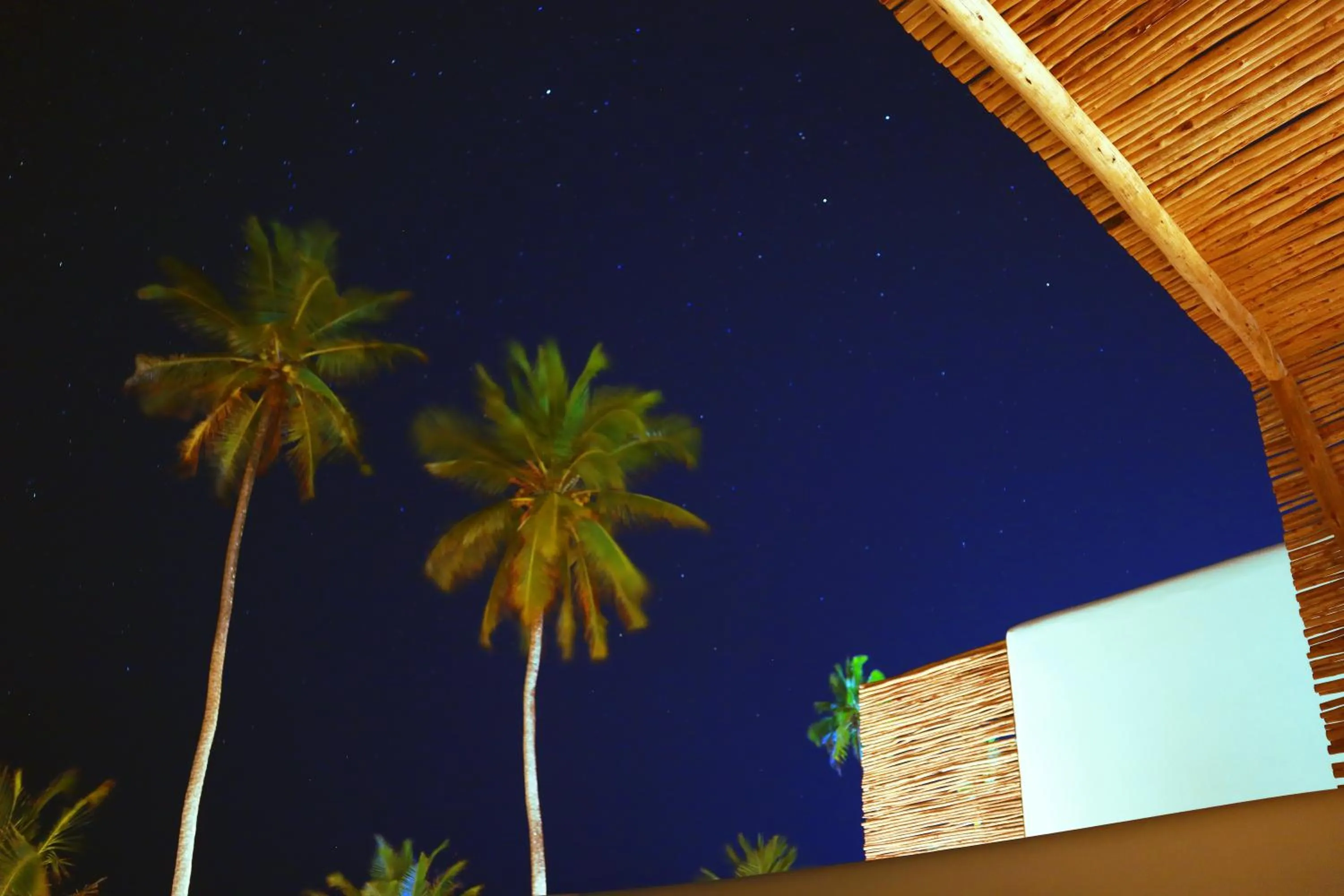 Night in Kijani Beach Villas