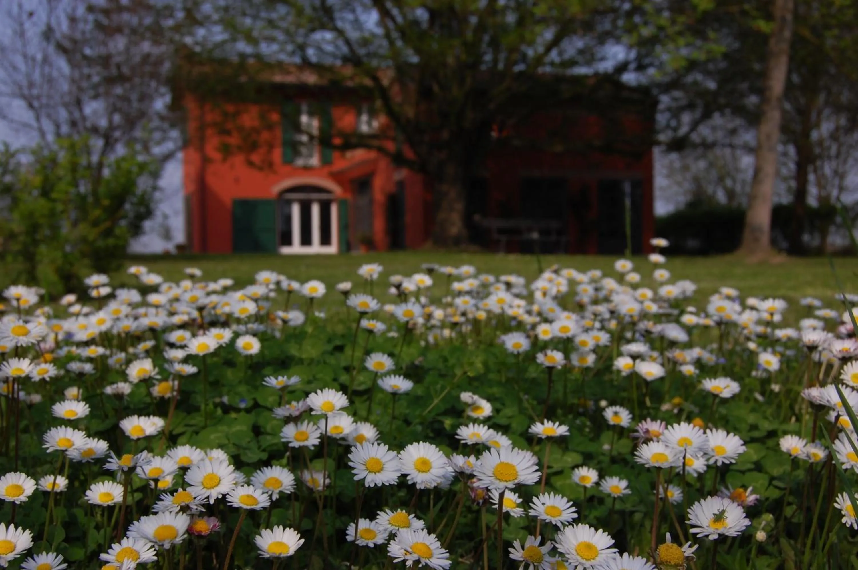 Spring in B&B L'Alberone