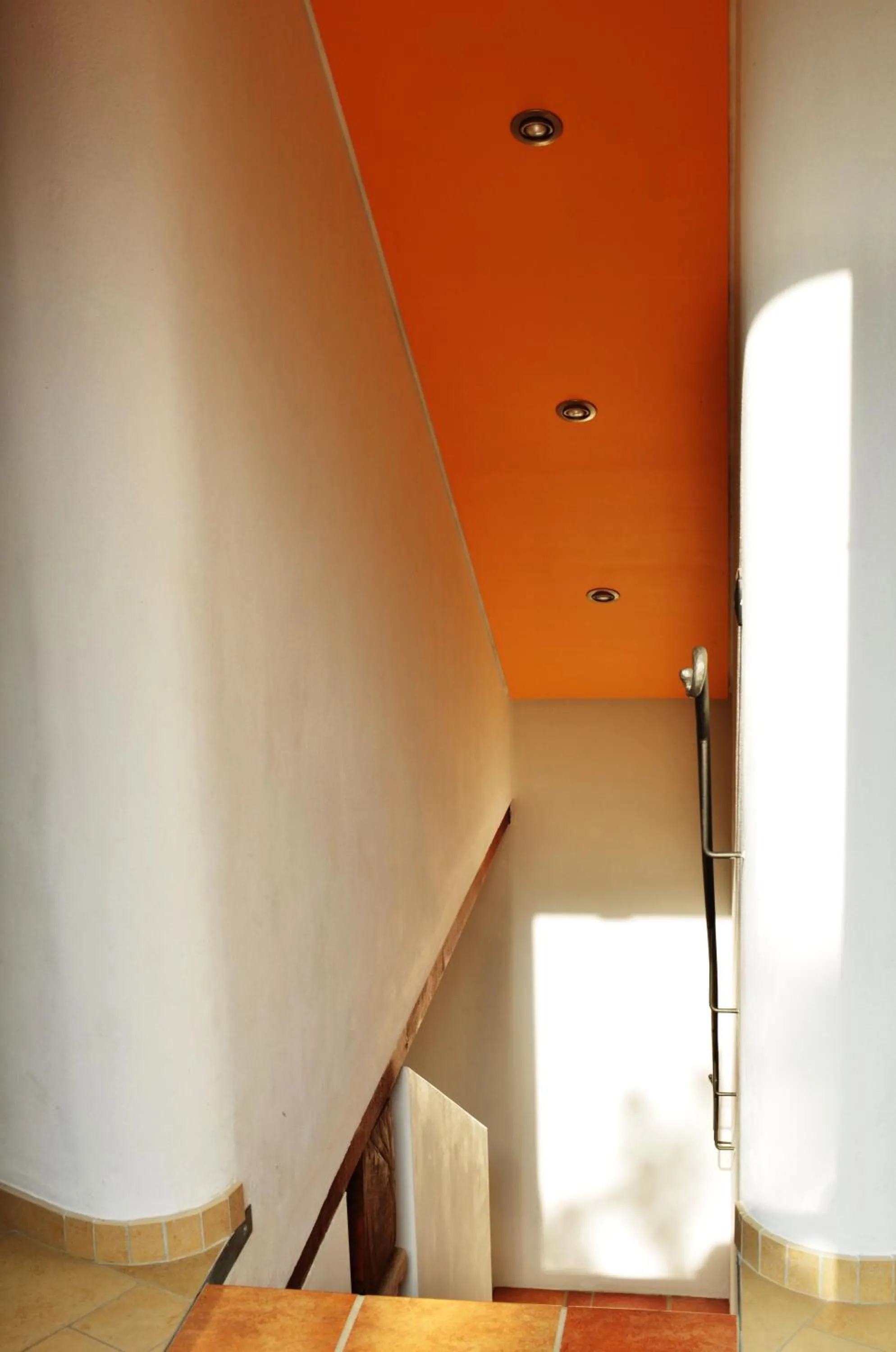 Area and facilities in B&B L'Alberone
