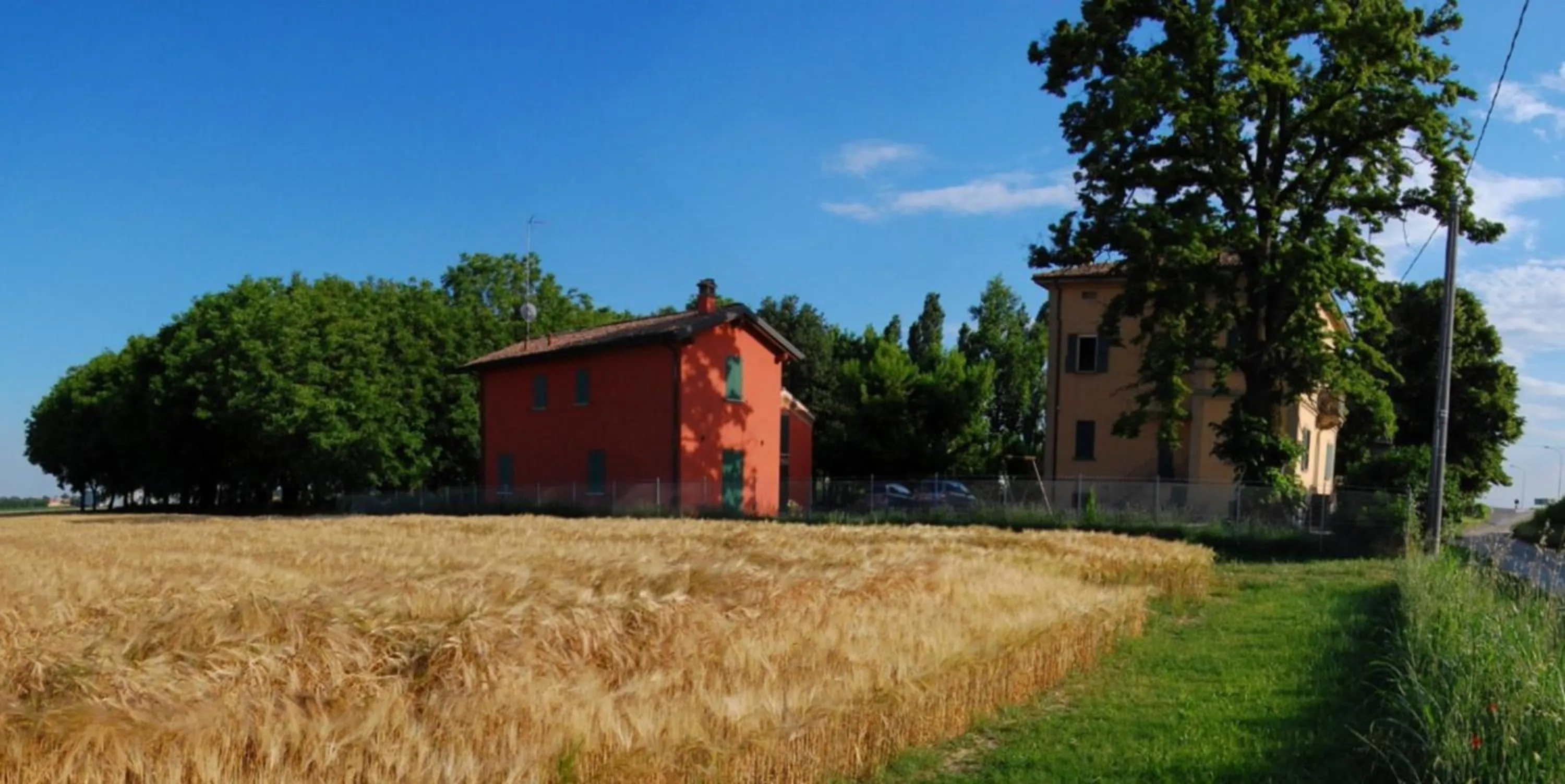 Summer in B&B L'Alberone