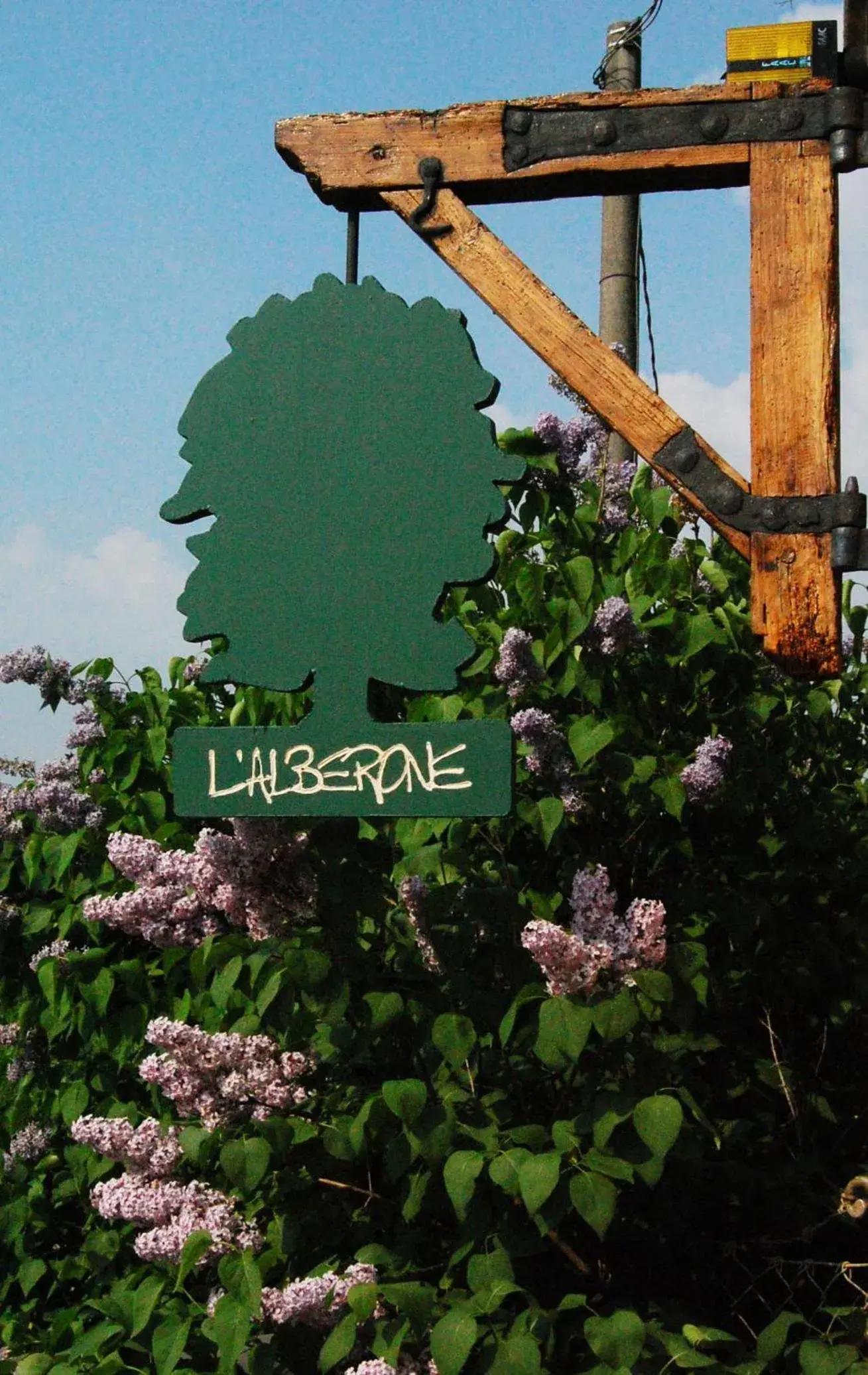 B&B L'Alberone B&B L'Alberone