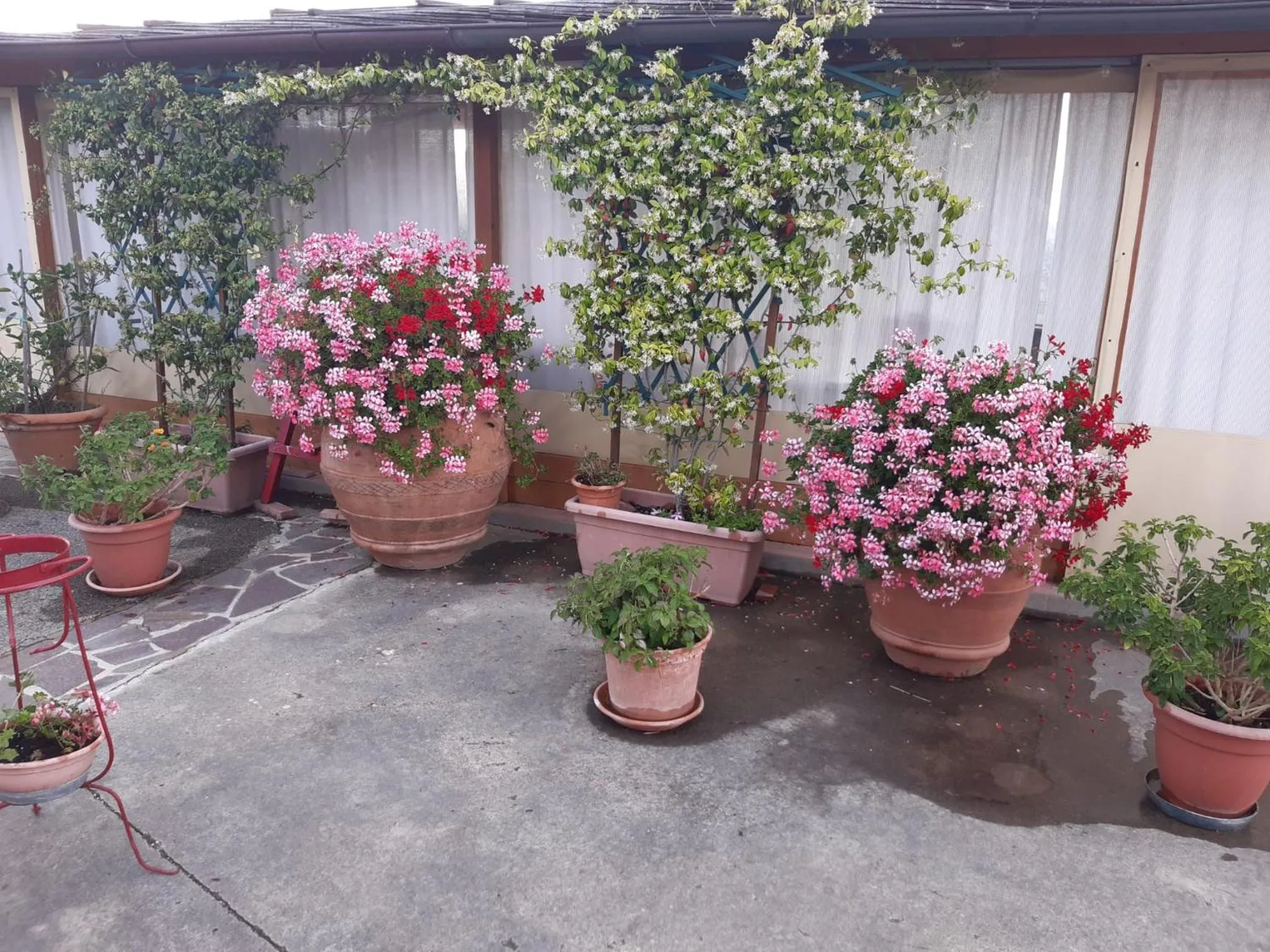 Property building in B&B I Coppi