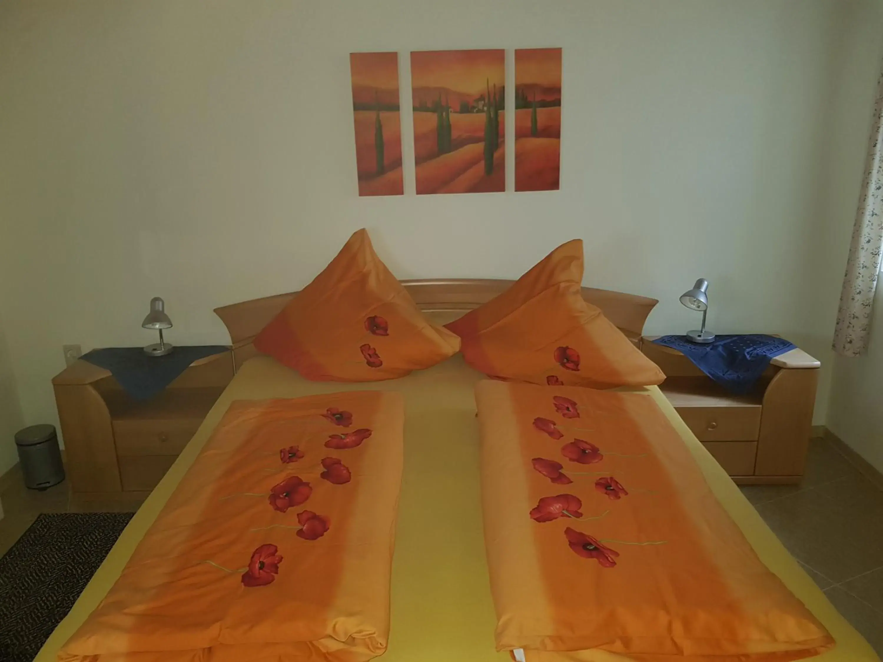Double Room with Shared Bathroom - single occupancy in Restaurant / Pension Mainzer Tor Double Room with Shared Bathroom - single occupancy in Restaurant / Pension Mainzer Tor