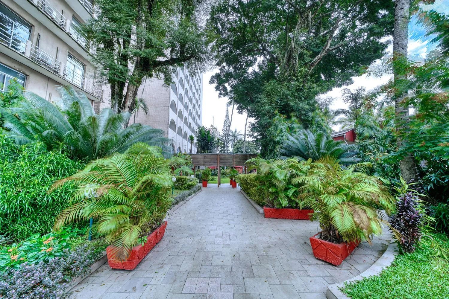 Property building in AKWA PALACE Douala