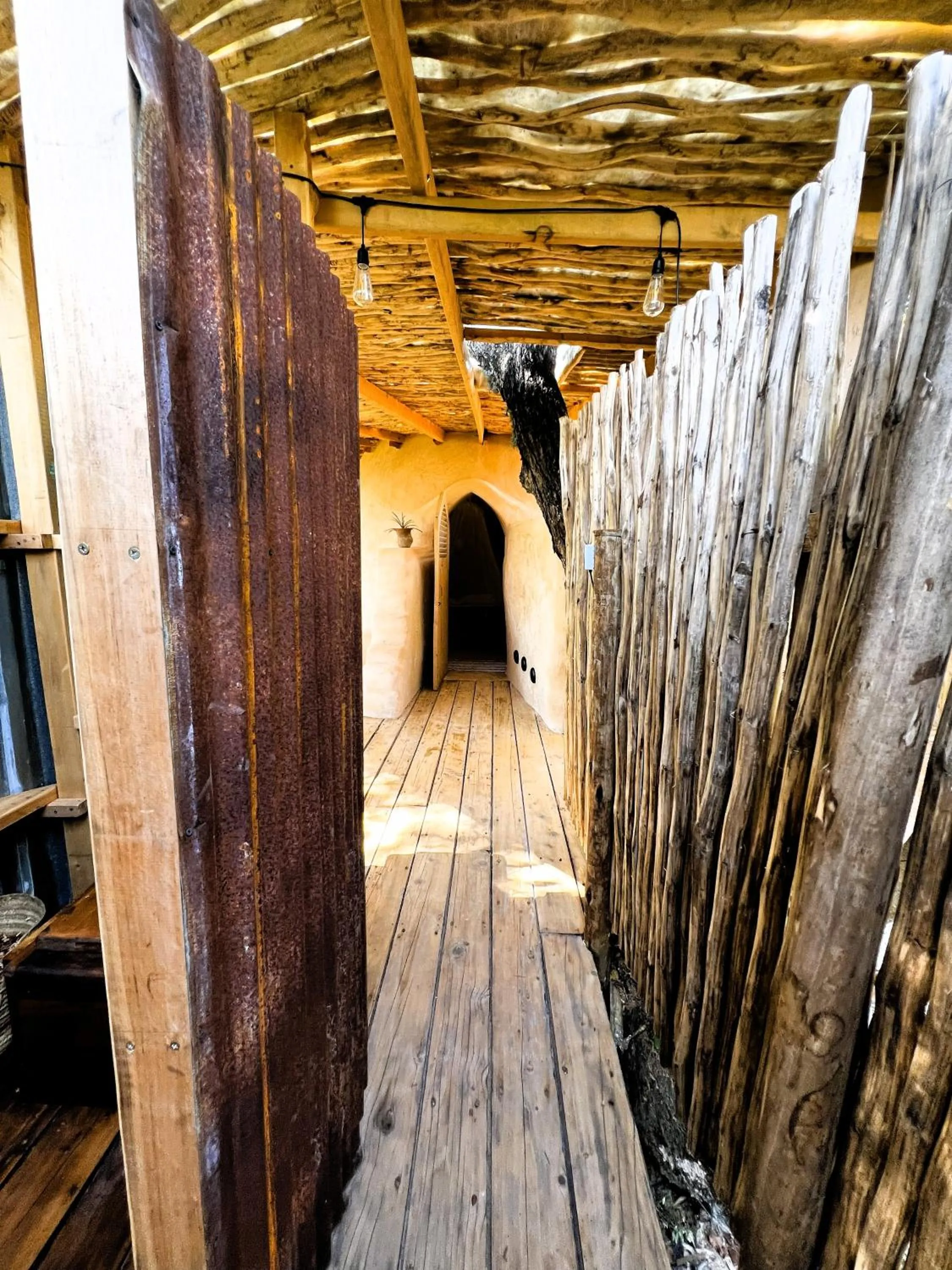 Distant Relatives Ecolodge & Backpackers