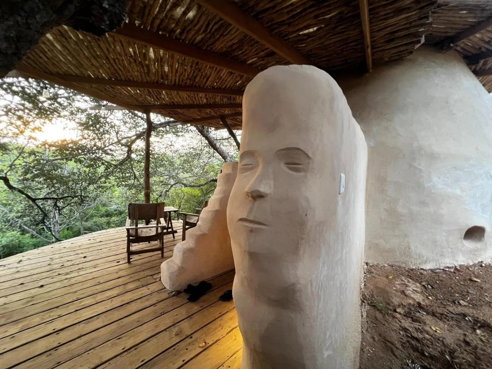 Distant Relatives Ecolodge & Backpackers