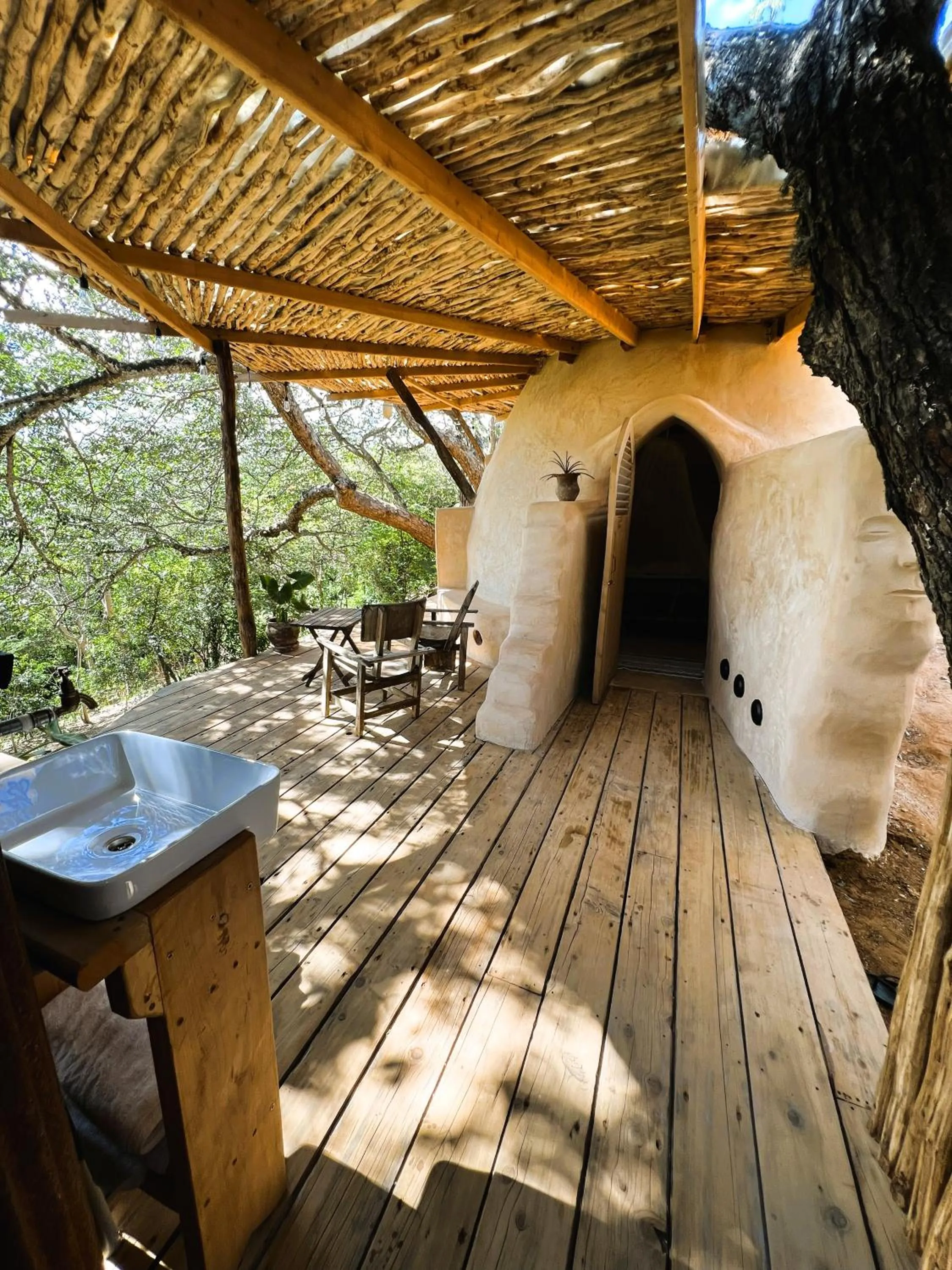 Distant Relatives Ecolodge & Backpackers